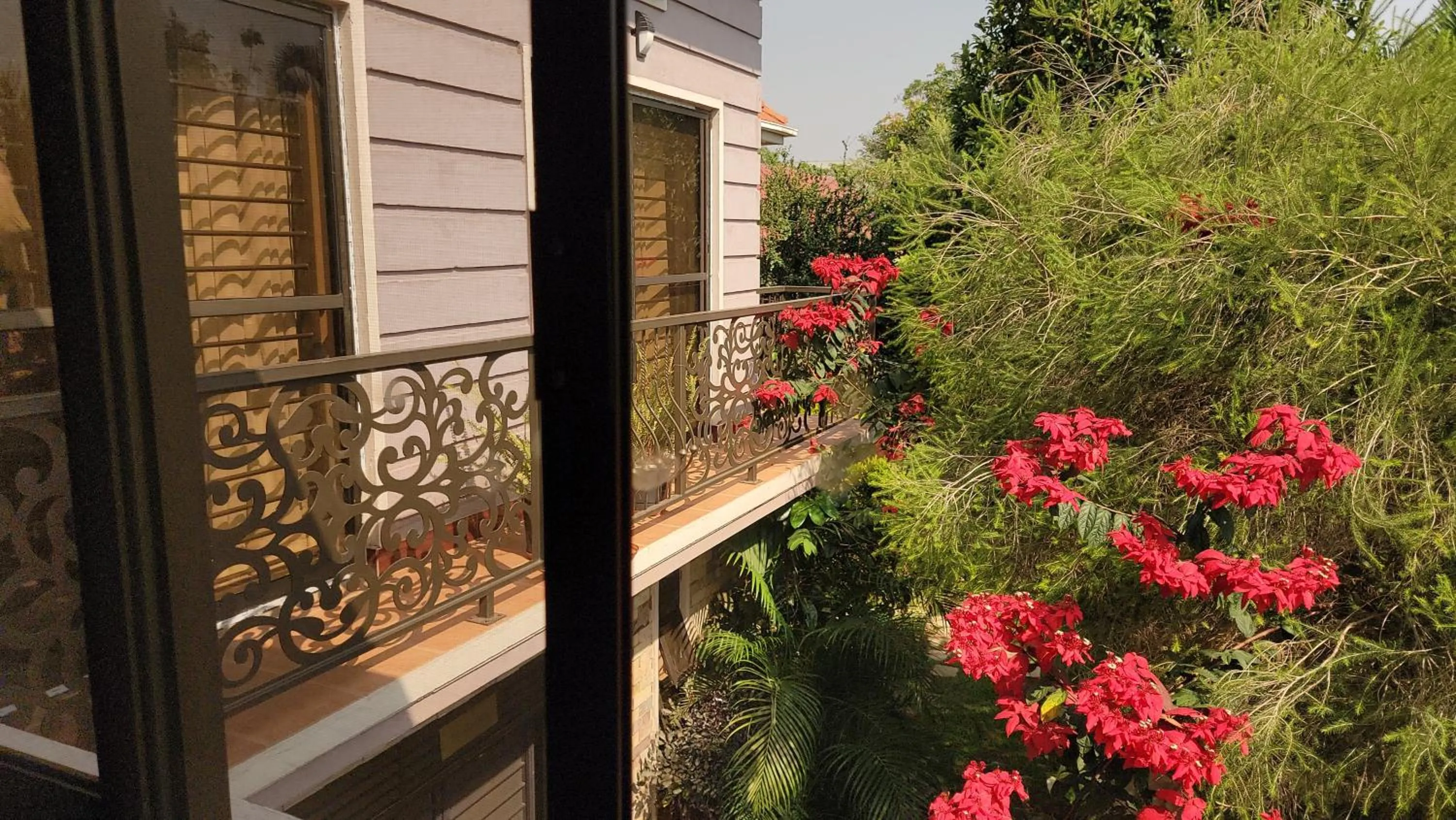 Garden view in Royal Victoria House Ltd