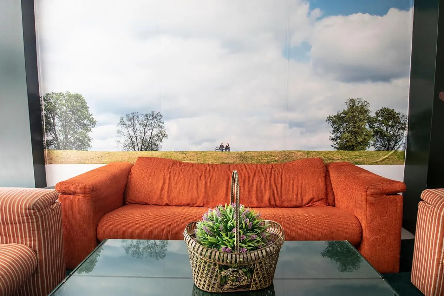 Area and facilities in Hospedium Hotel Apartamentos Simón Verde