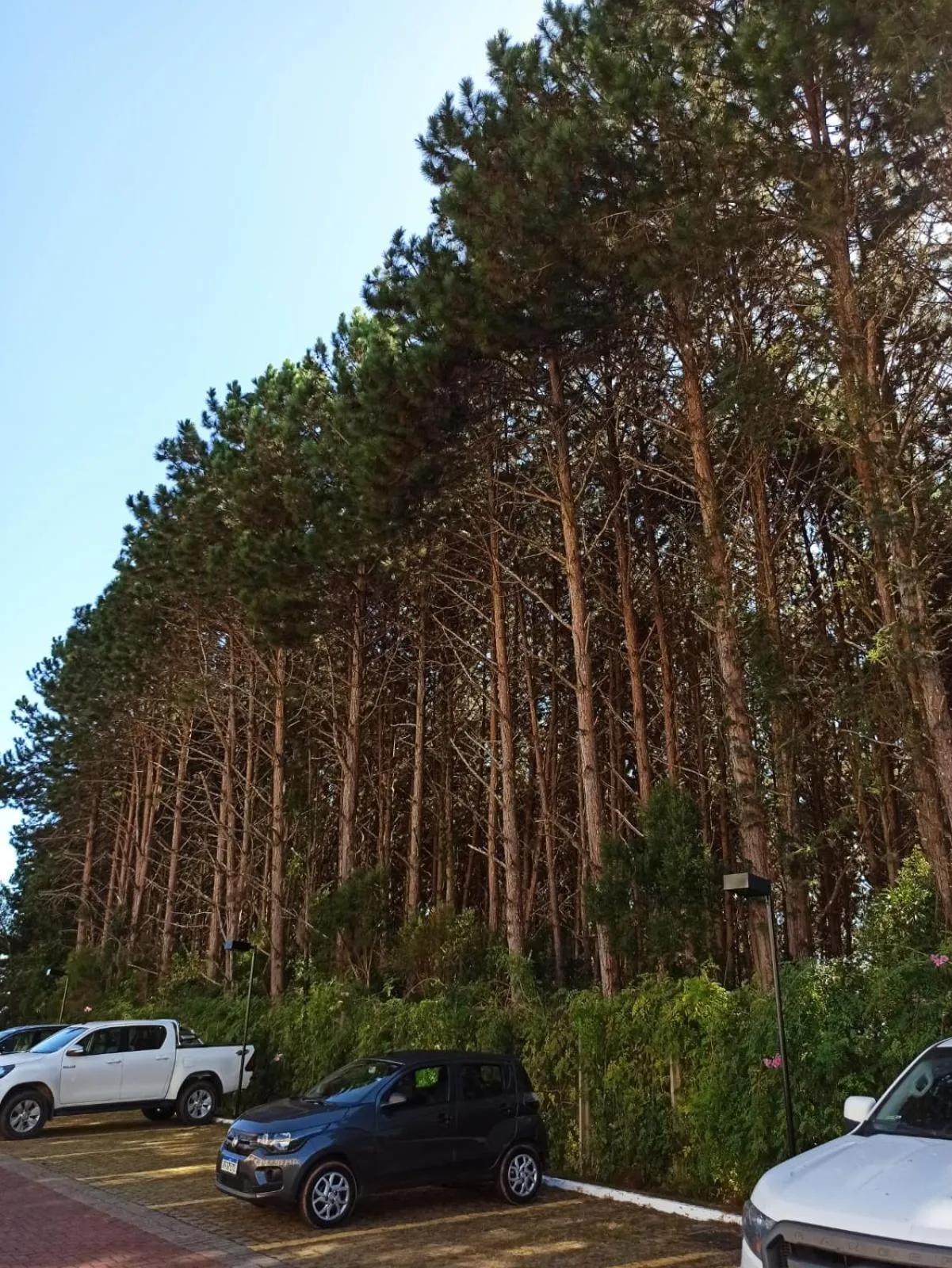 Natural landscape in Flat Pedra Azul