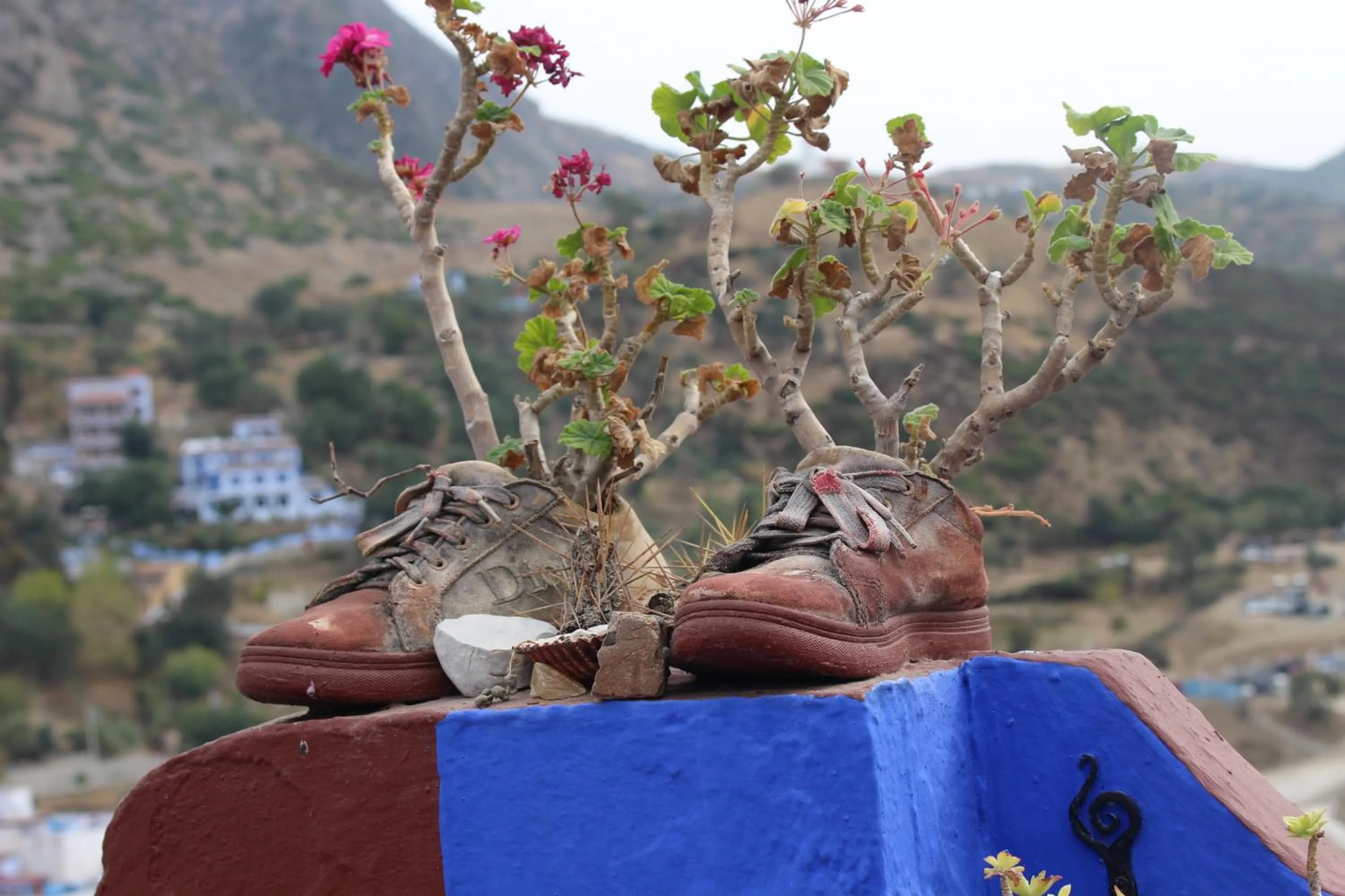 Day in Hotel Gernika