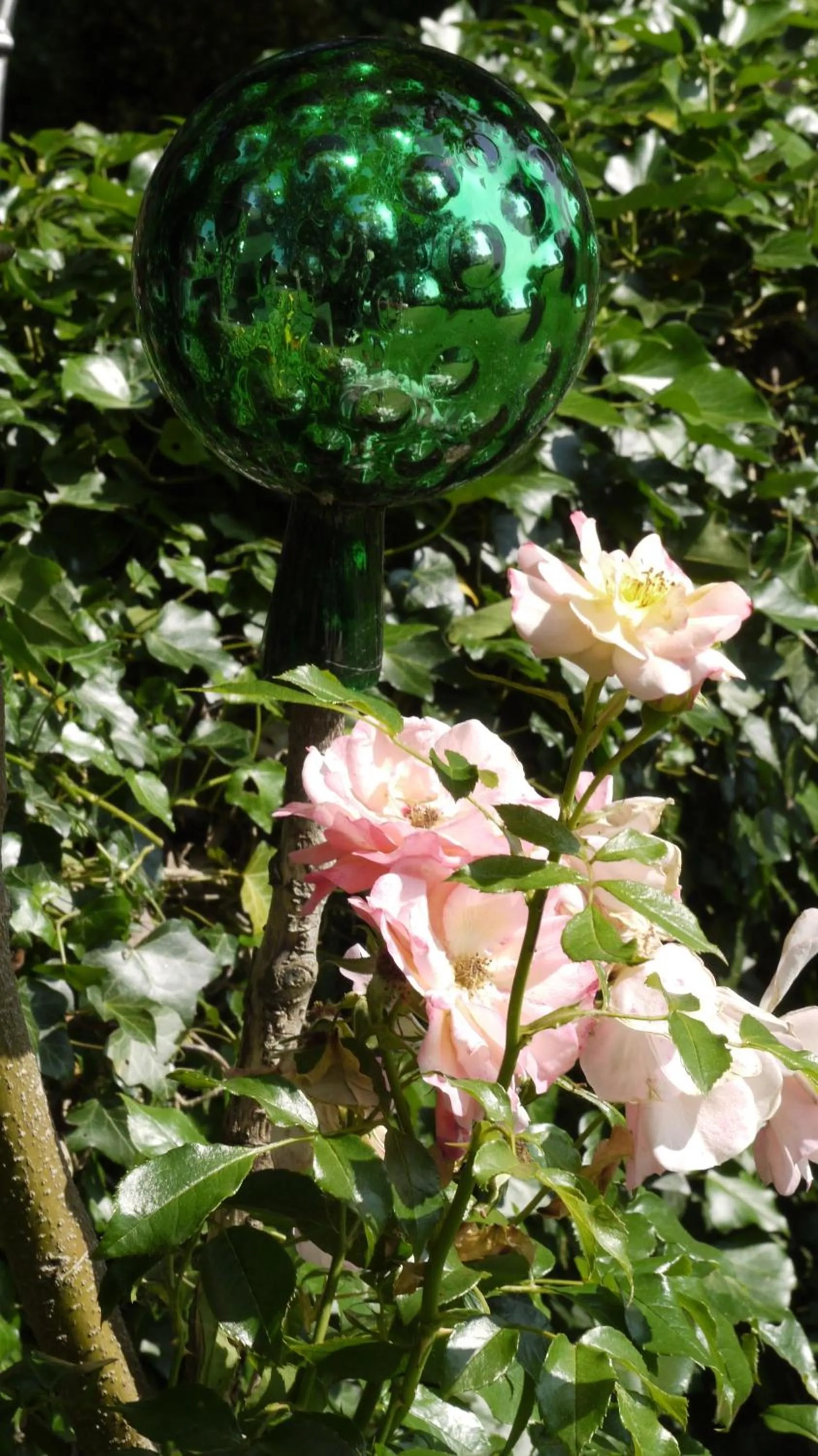 Summer in Hotel Maurerhansl