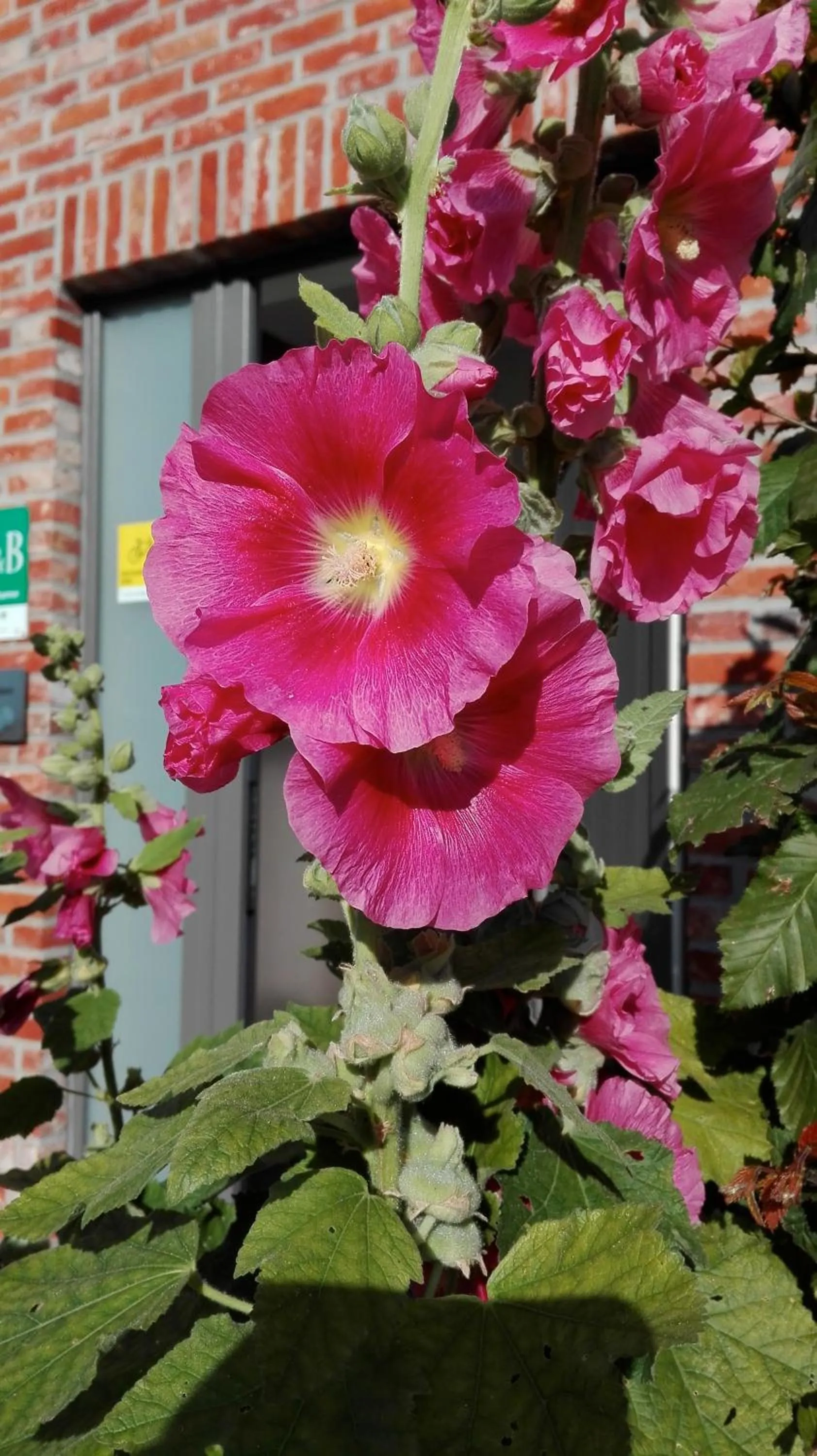 Property logo or sign in B&B De Grote Plaats