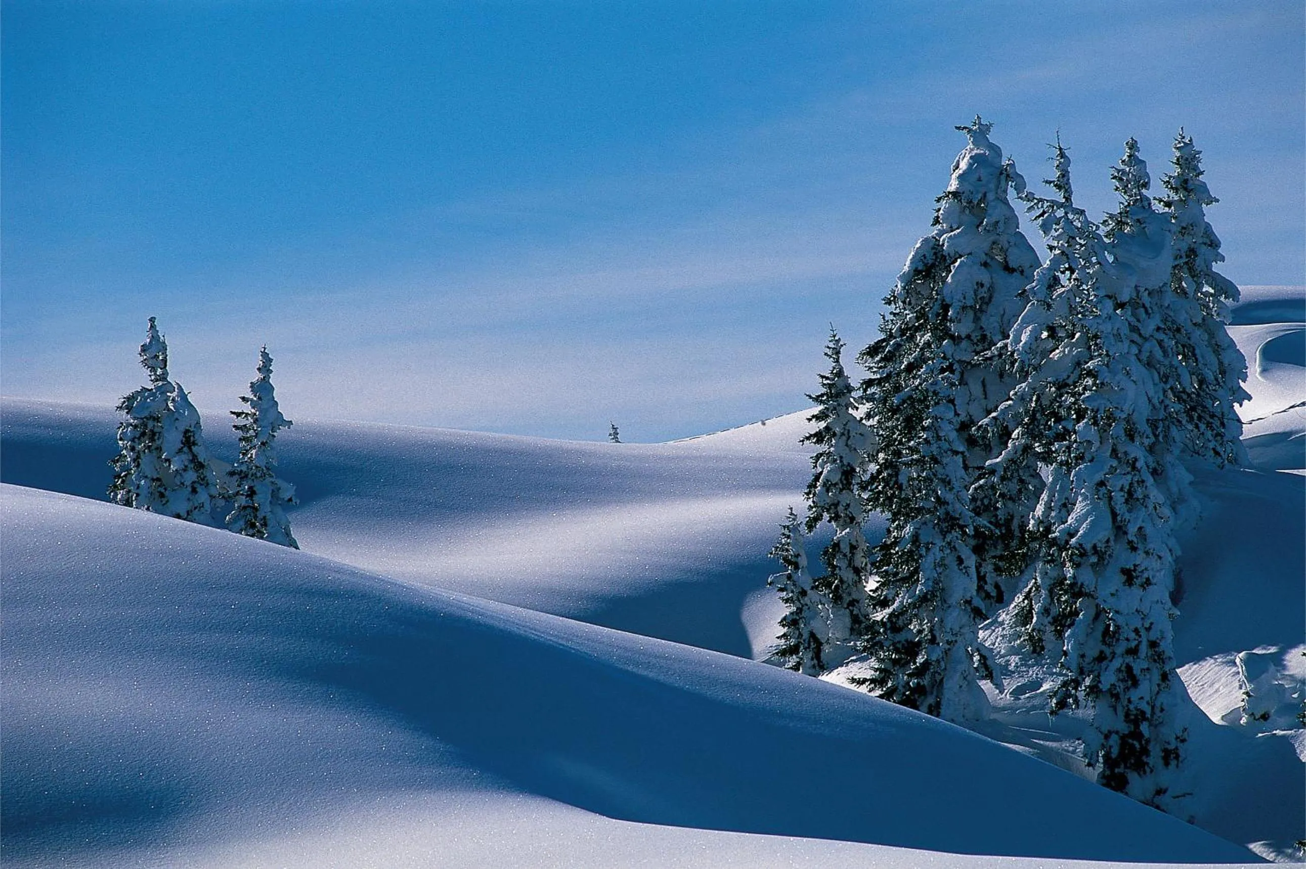 Skiing in Alpine Lodge Klösterle am Arlberg