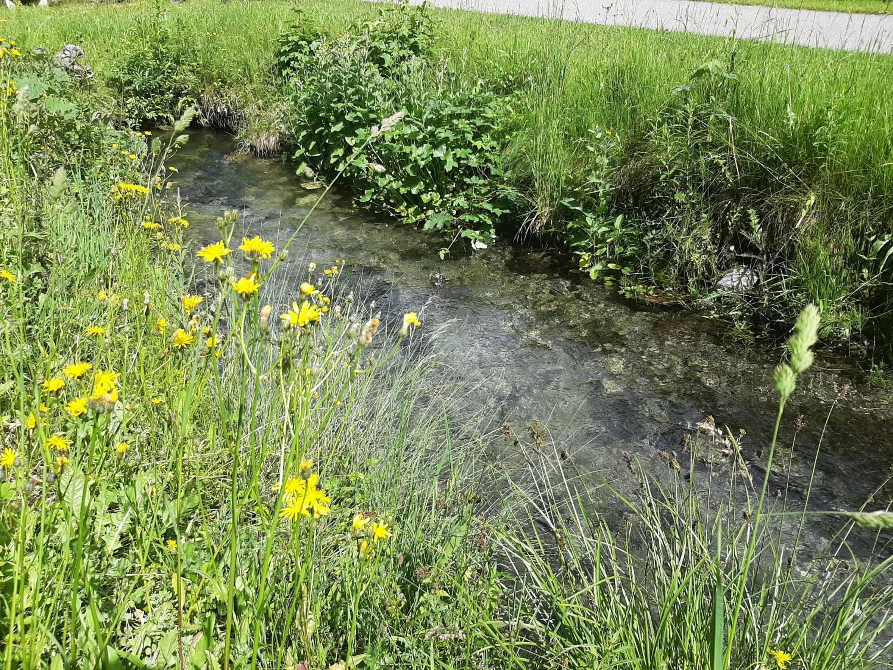 Natural landscape in Alpine Lodge Klösterle am Arlberg