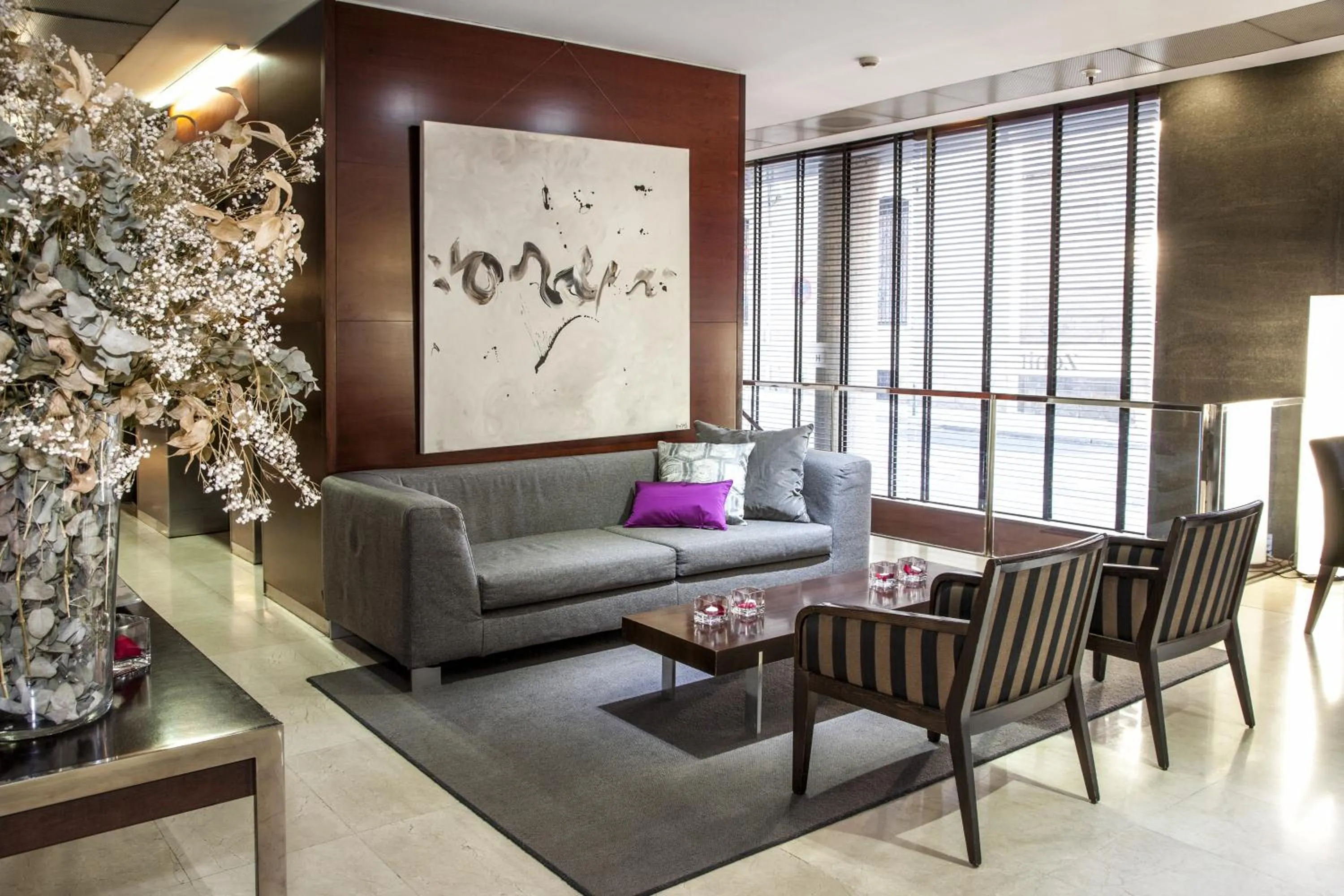 Area and facilities in Zenit Don Yo