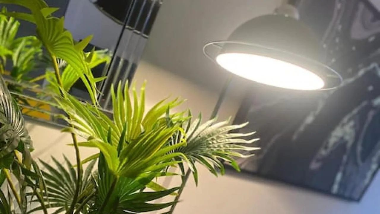 Other in De Parys Premier Lodge 3 in Bedford