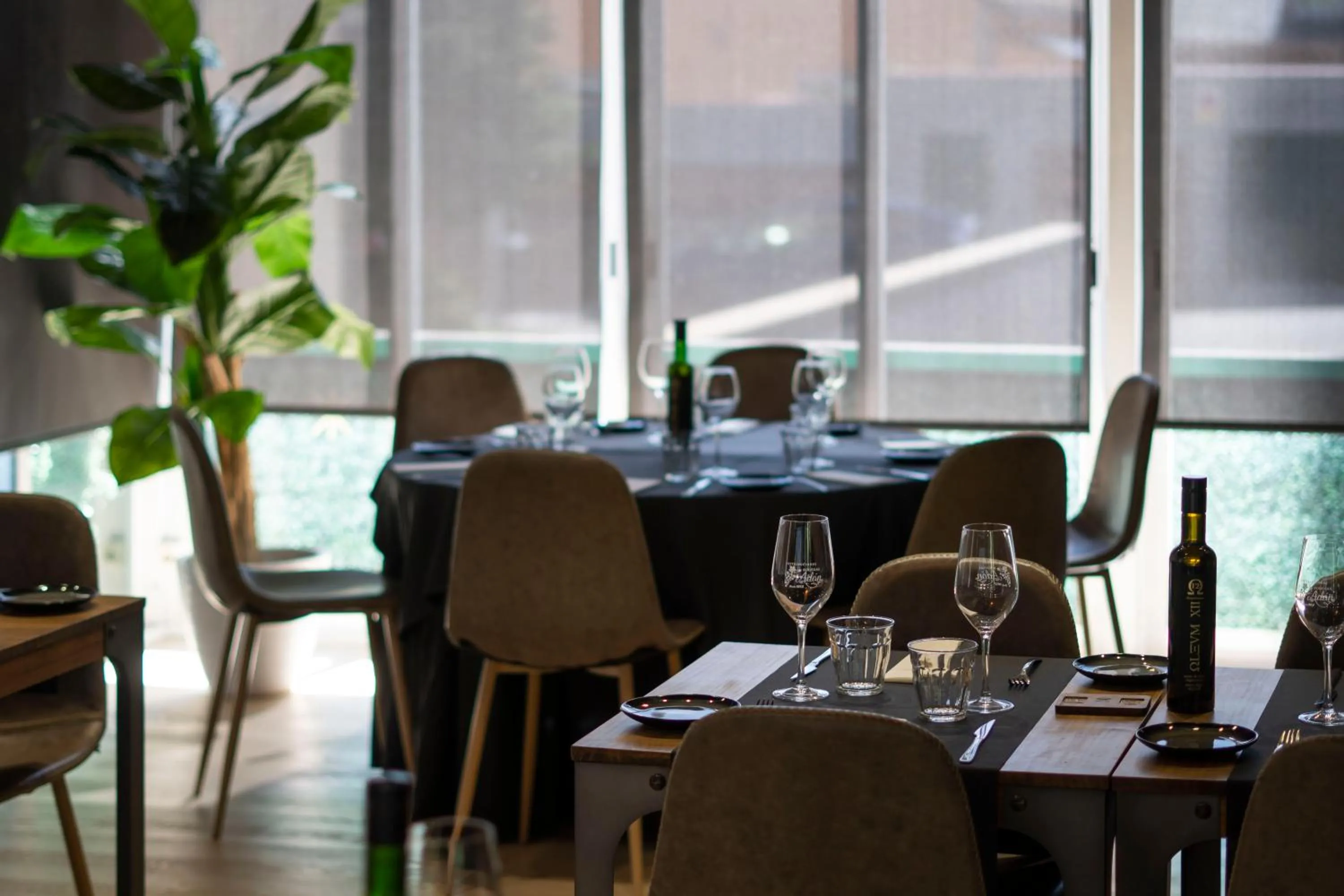 Restaurant/places to eat in Zenit Conde de Orgaz