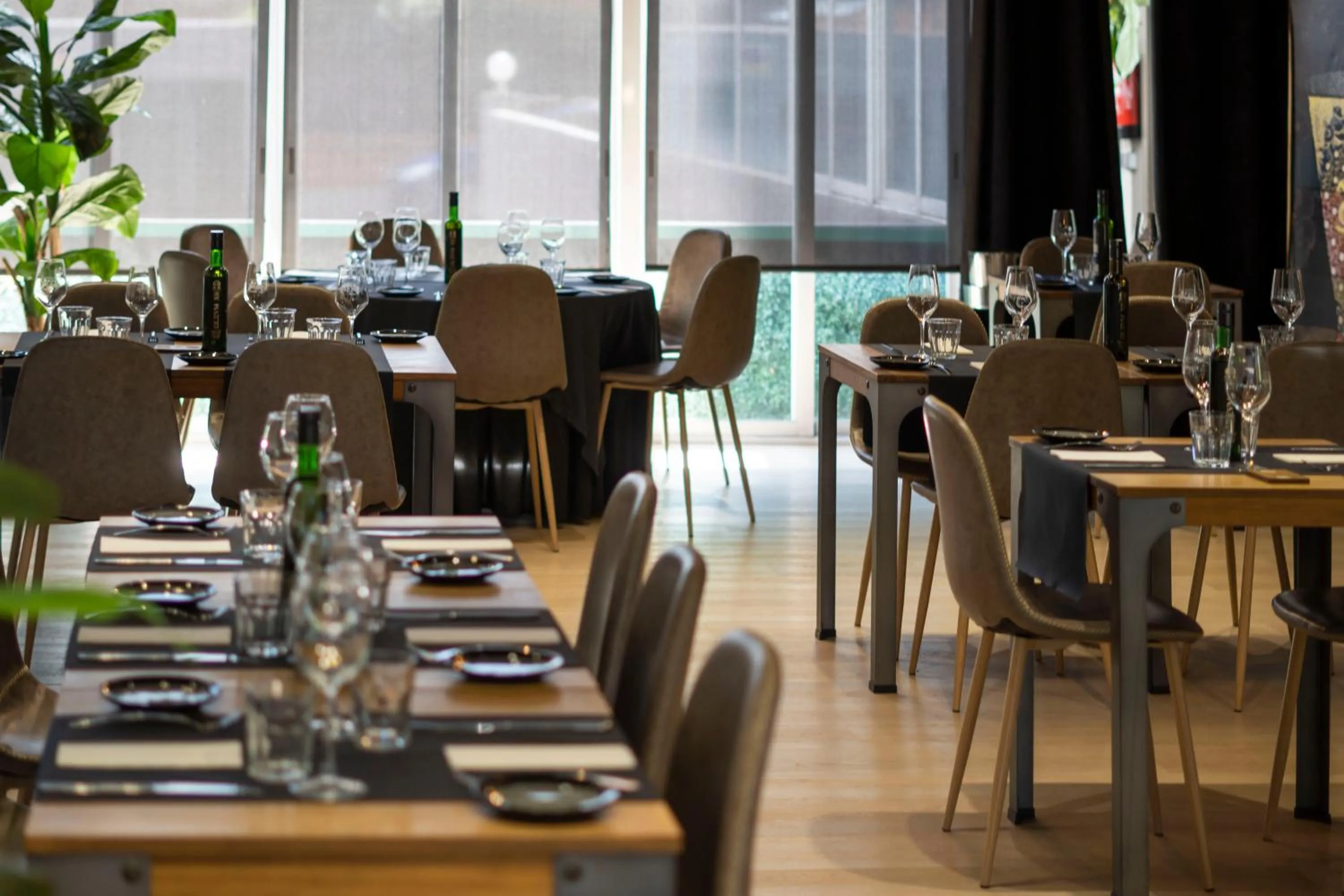 Restaurant/places to eat in Zenit Conde de Orgaz