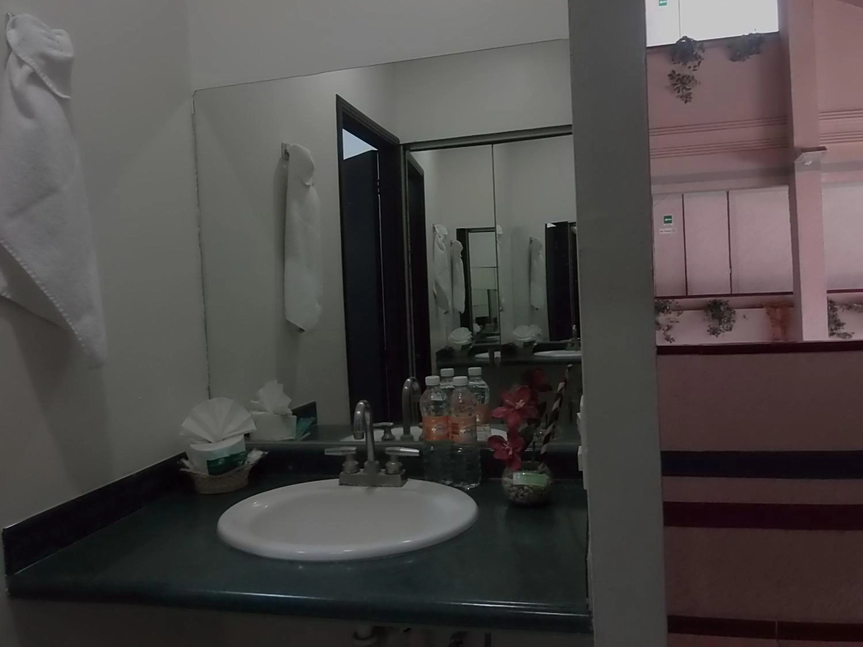 Bathroom in Hotel Raldos Inn