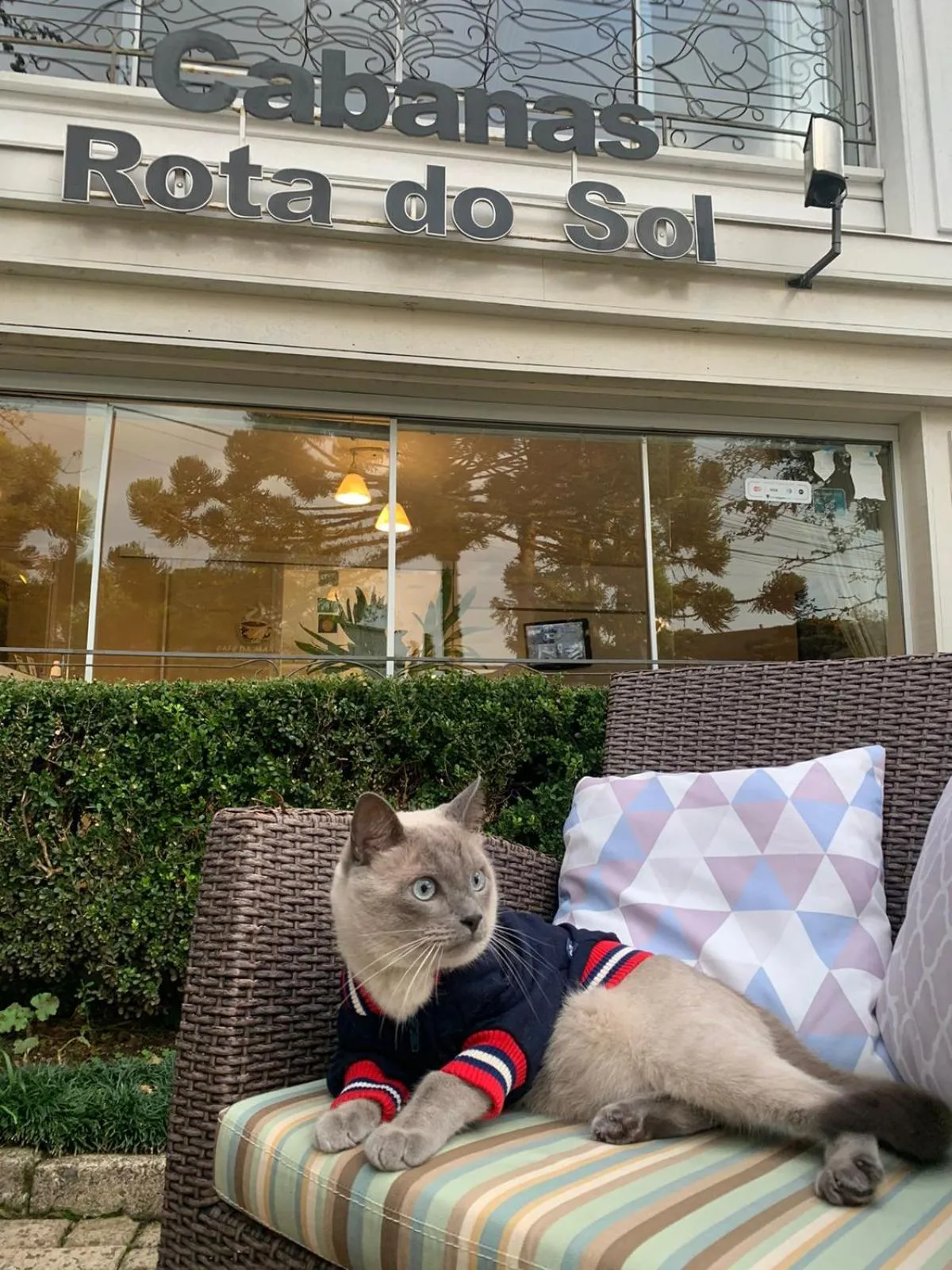 pet friendly in Pousada Cabanas Rota do Sol