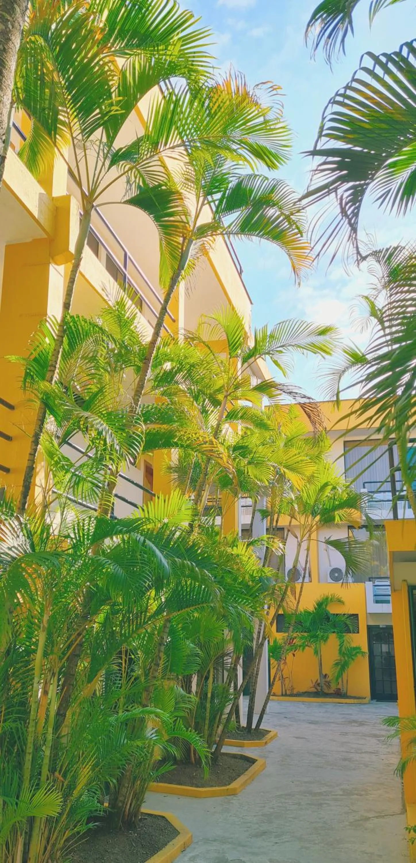 Property building in Hotel Club del Sol