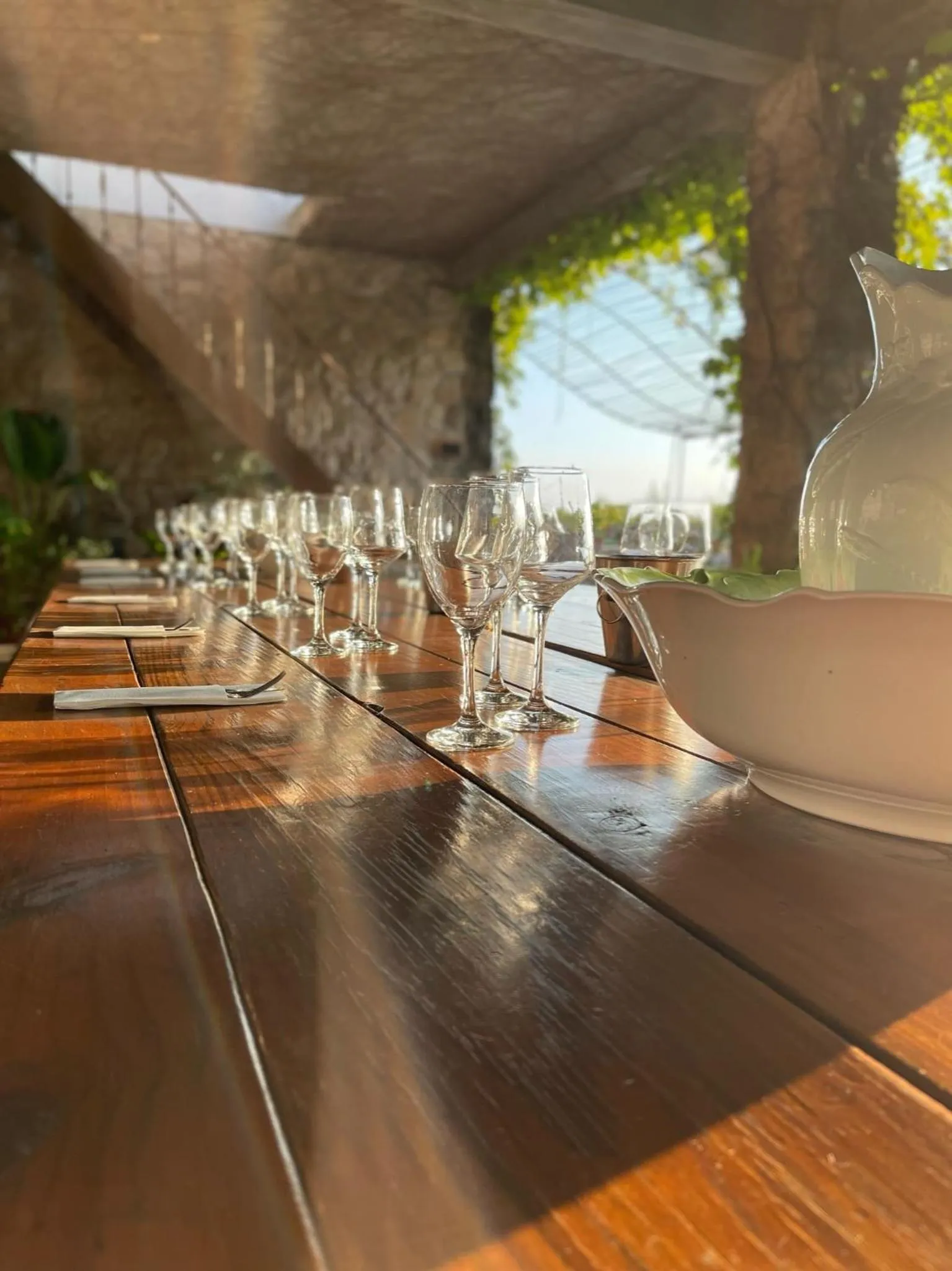 Food and drinks in Narbona Wine Lodge