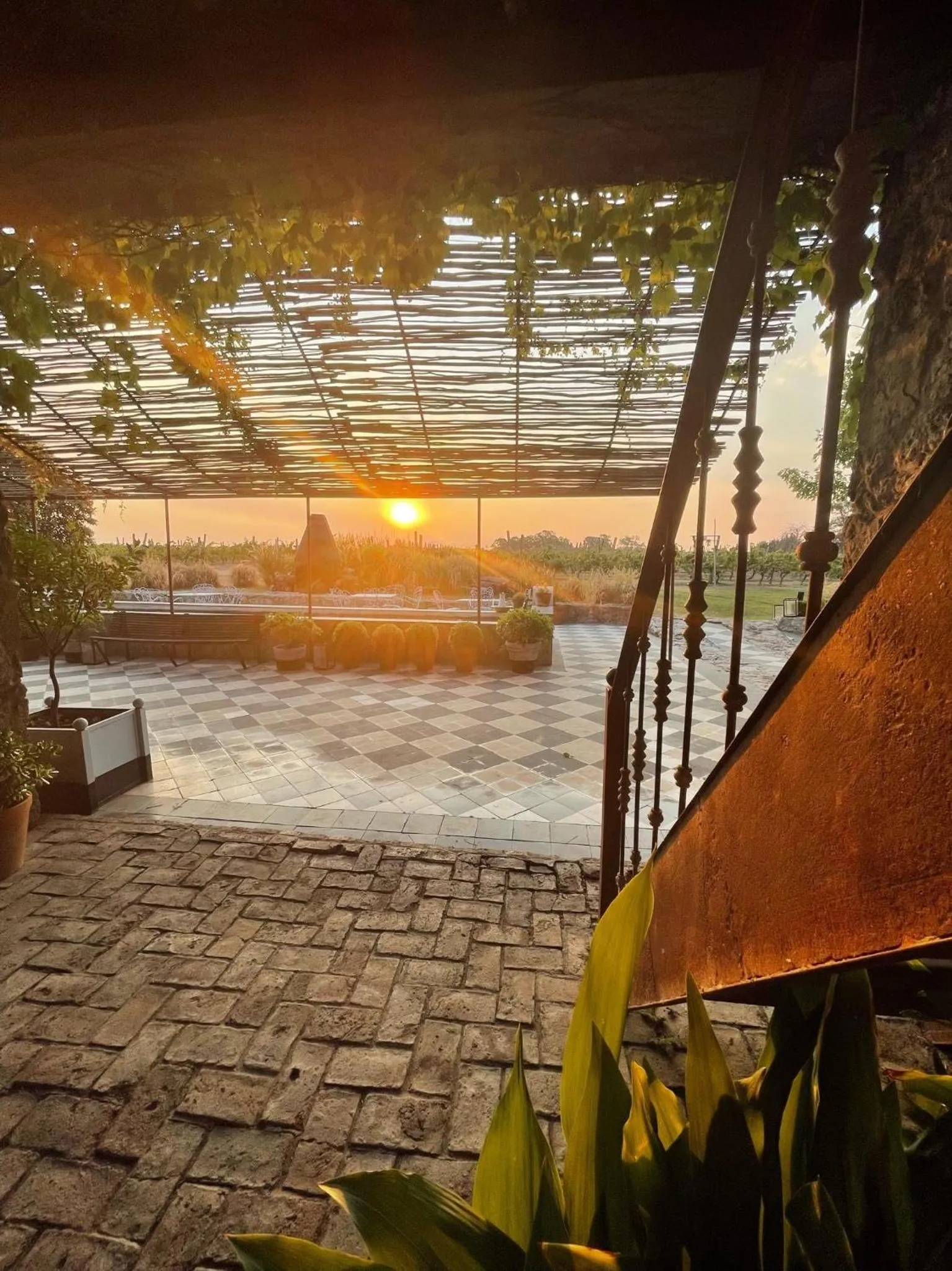 Day in Narbona Wine Lodge