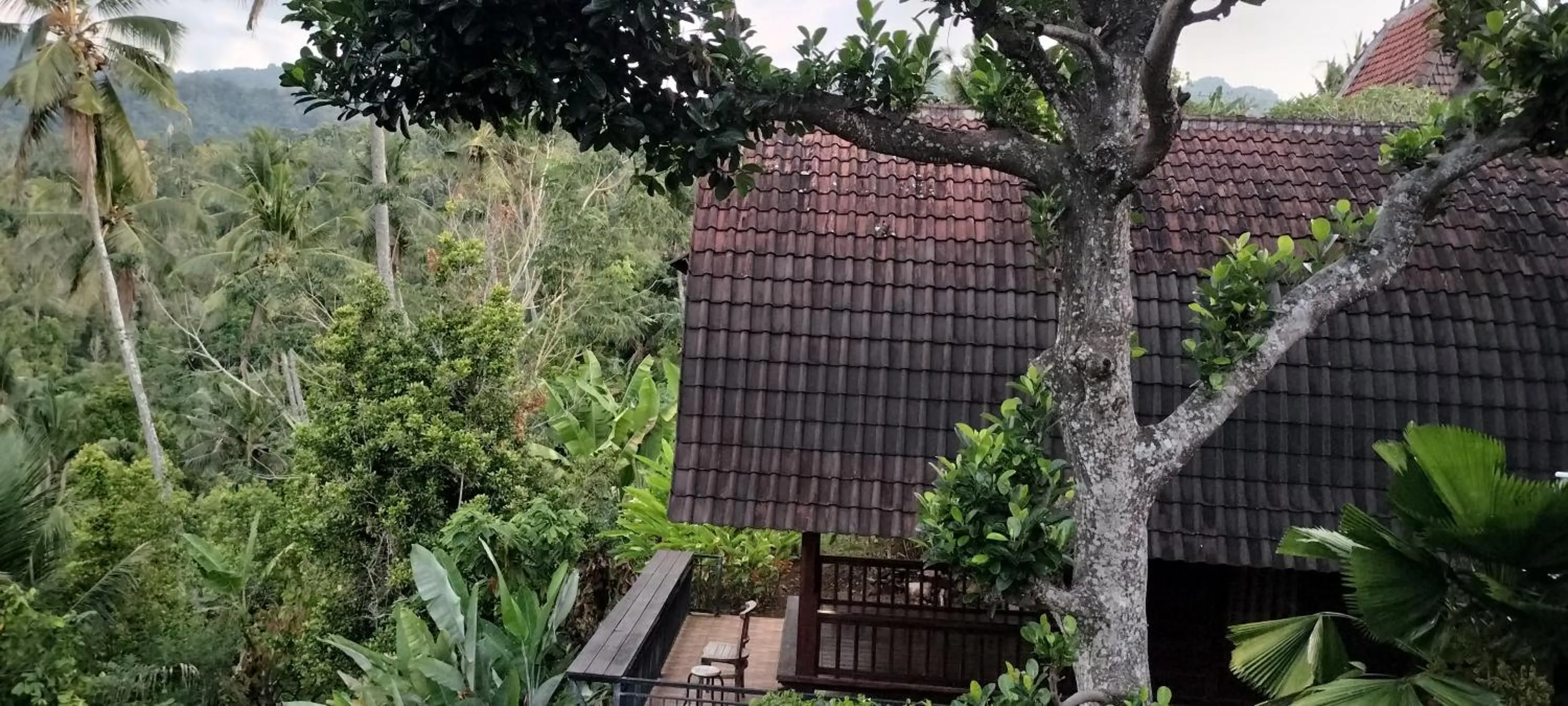 Property building in D'kailash Retreat