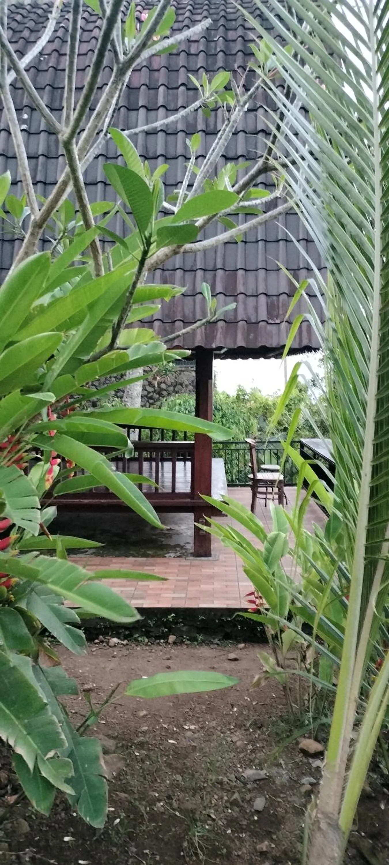 Garden in D'kailash Retreat