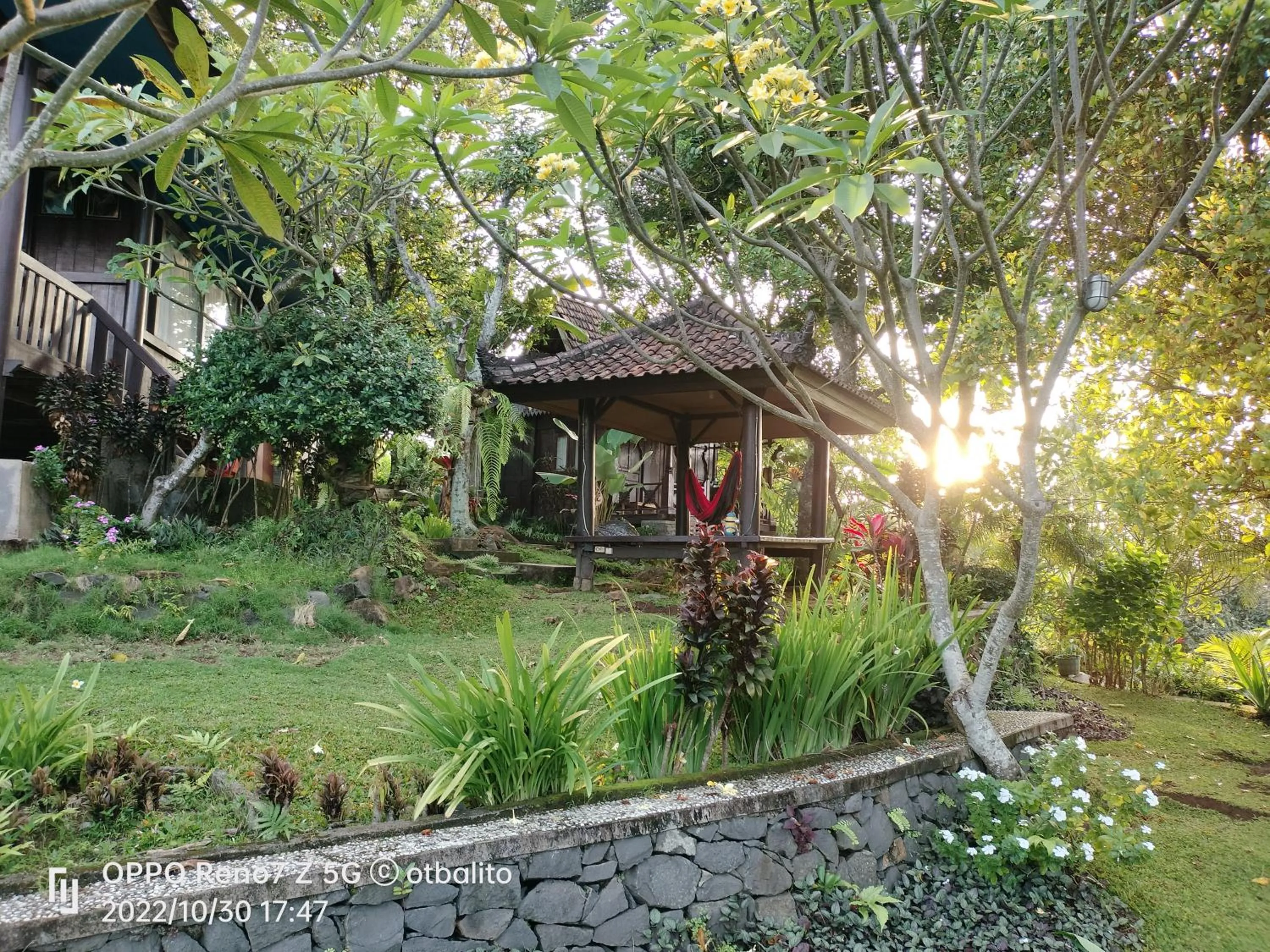 Garden in D'kailash Retreat