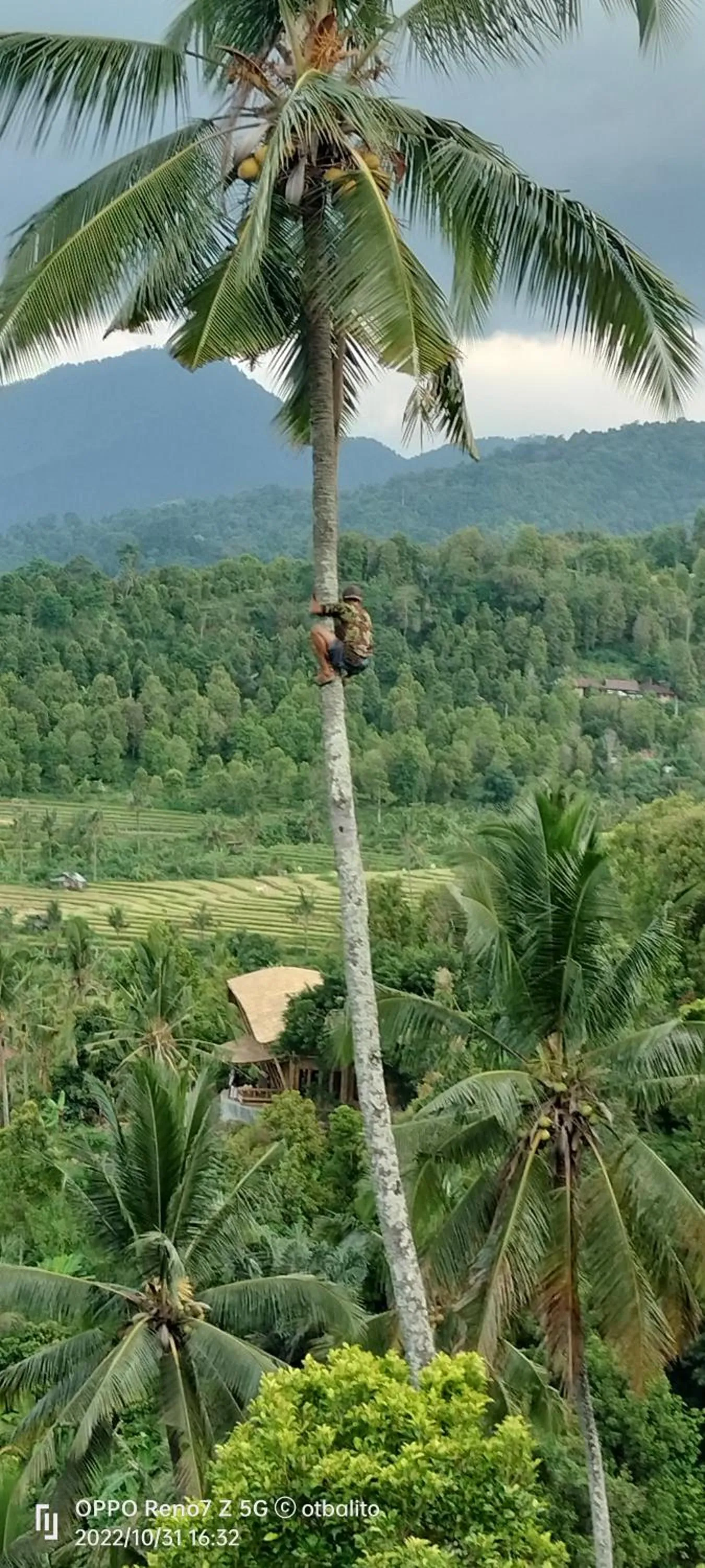 Restaurant/places to eat in D'kailash Retreat