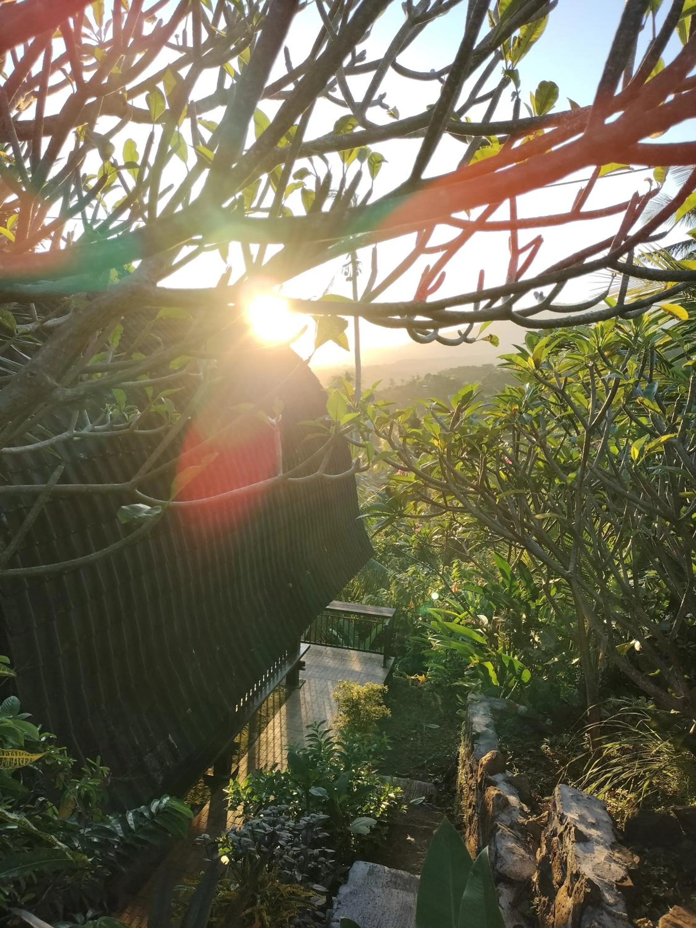 Garden in D'kailash Retreat