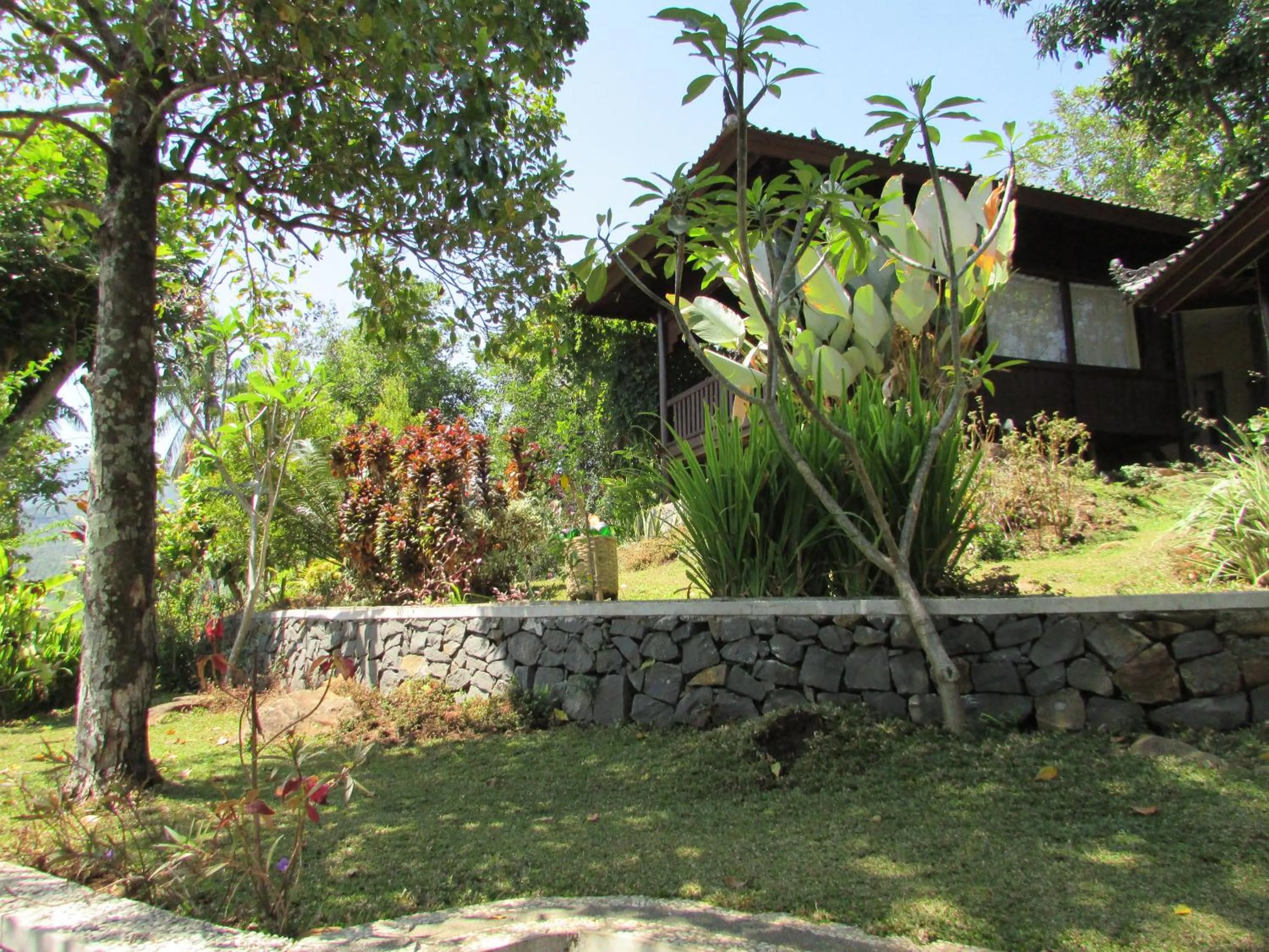 Garden in D'kailash Retreat