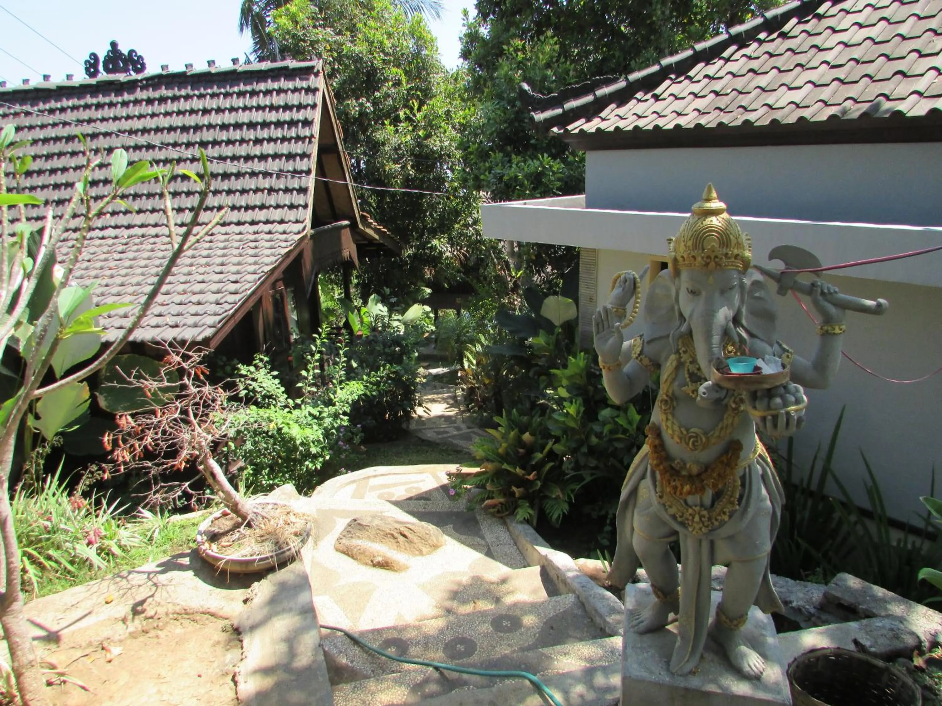 Garden view in D'kailash Retreat