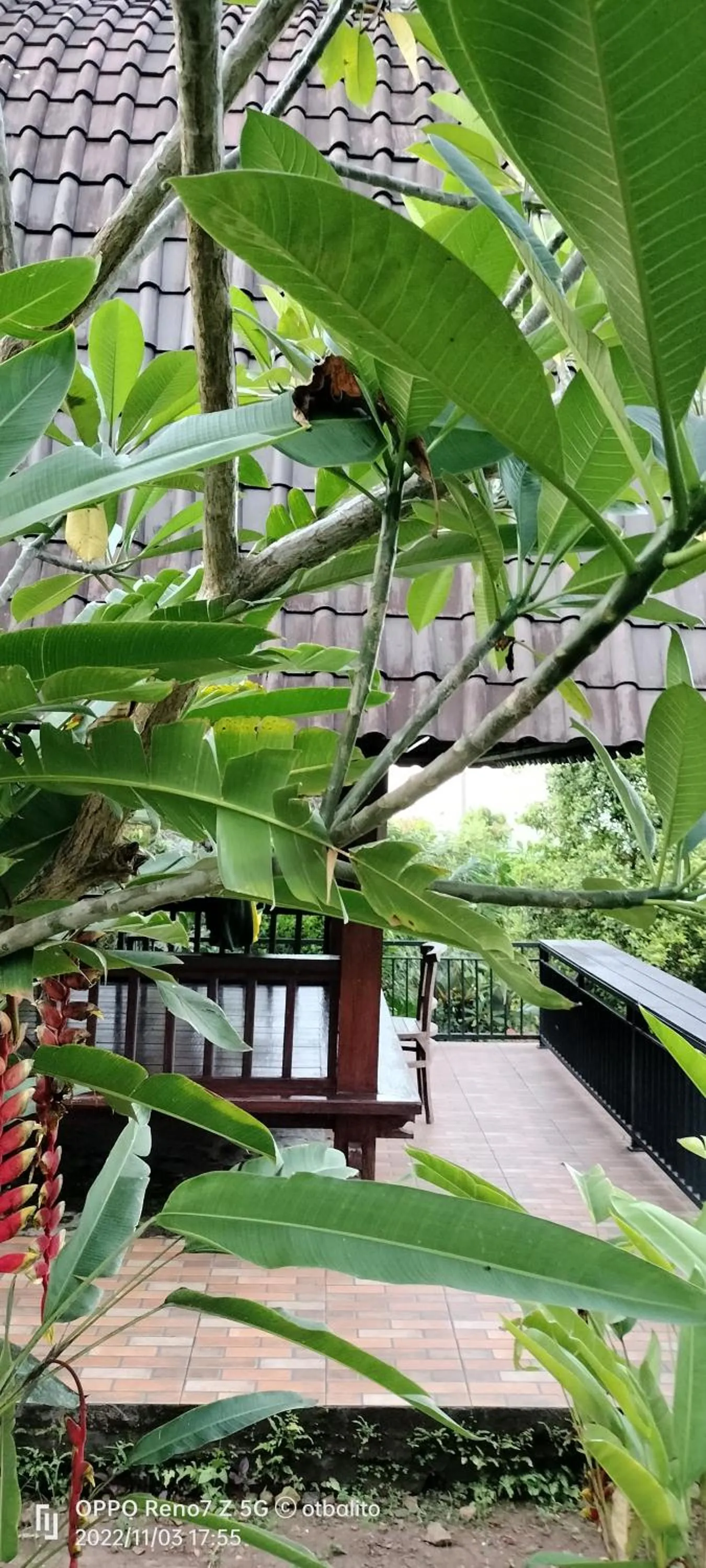 Garden in D'kailash Retreat