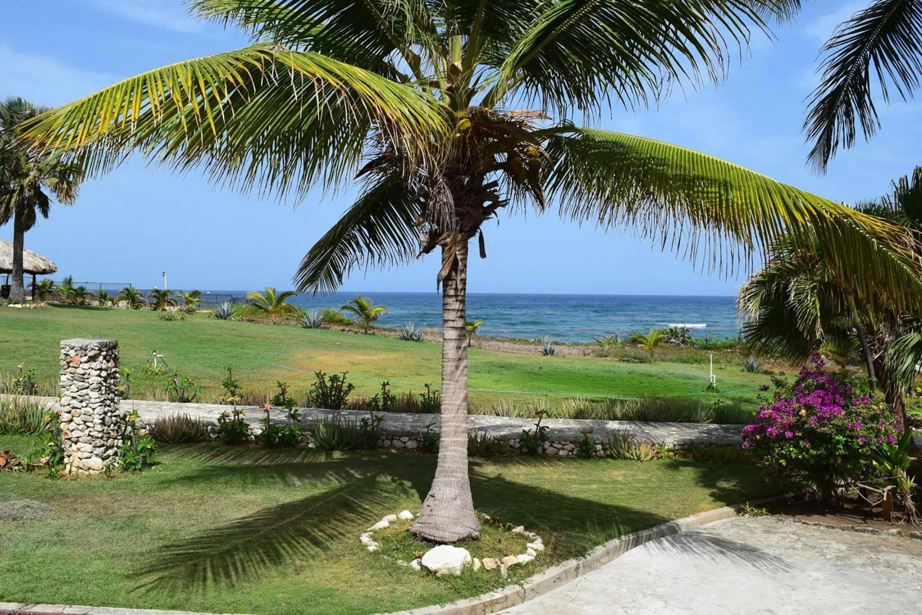 Garden in Hotel El Quemaito - Luxury Oceanfront Retreat