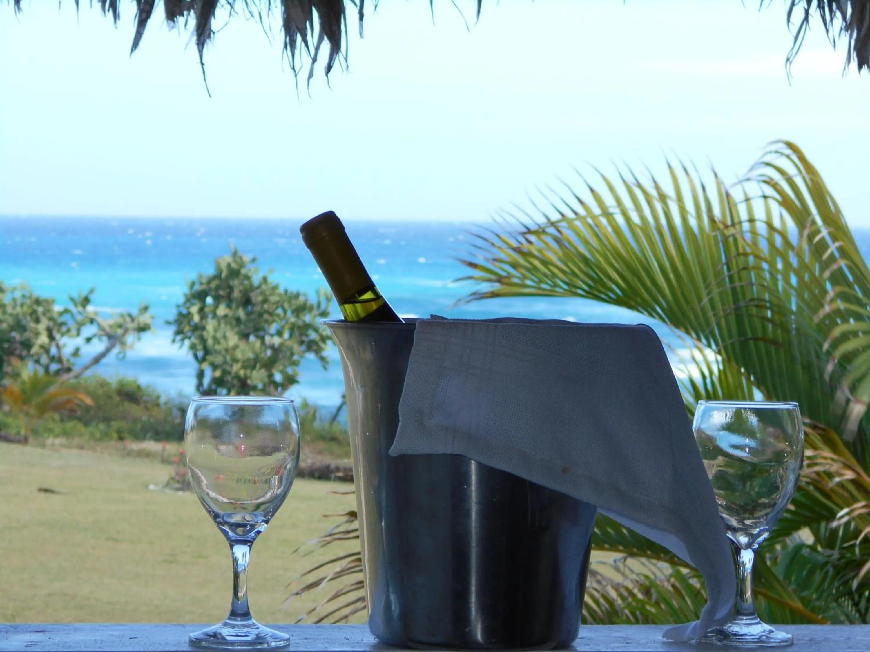 Garden in Hotel El Quemaito - Luxury Oceanfront Retreat