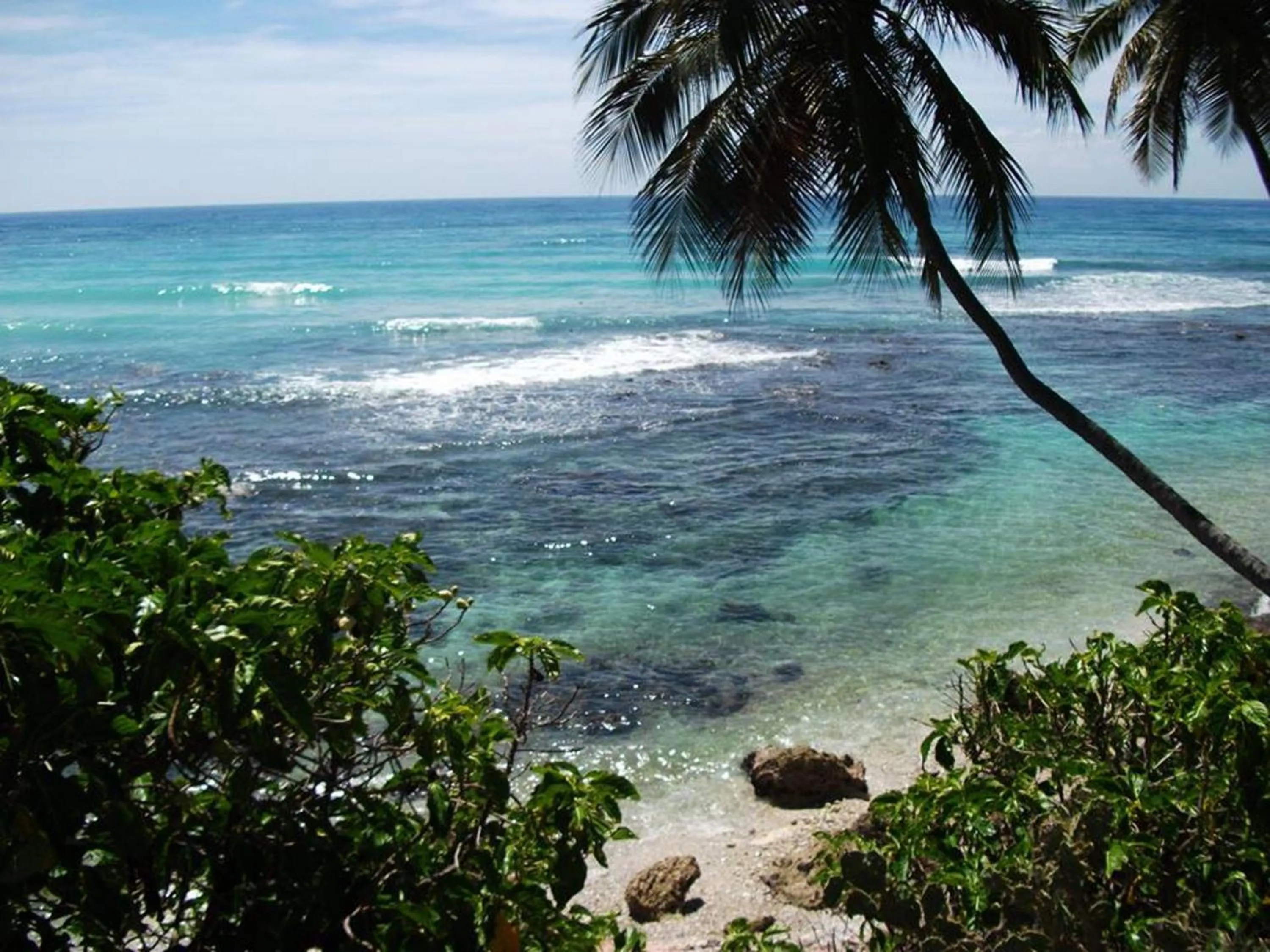Natural landscape in Hotel El Quemaito - Luxury Oceanfront Retreat