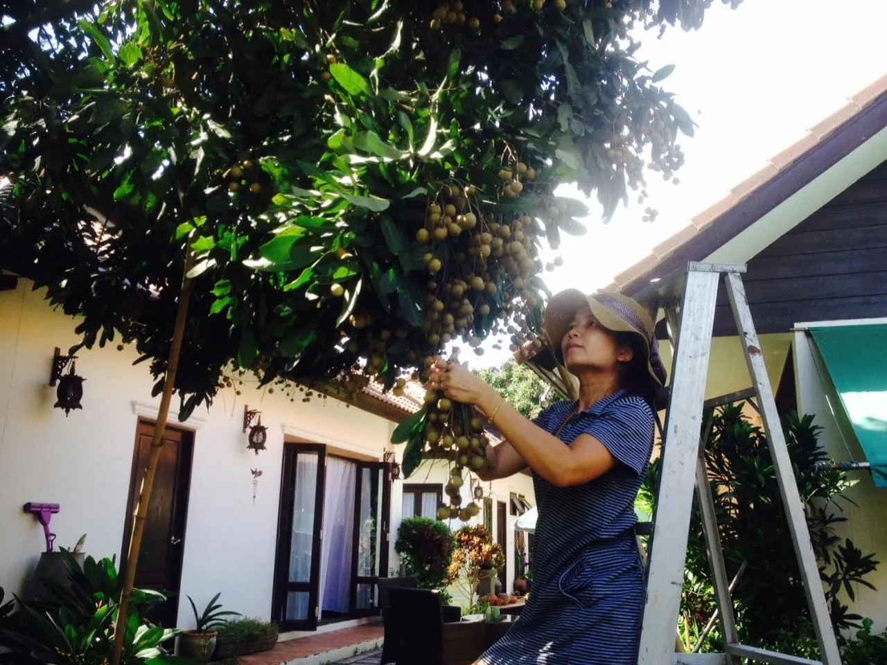 Staff in Rice Barn And Rooms