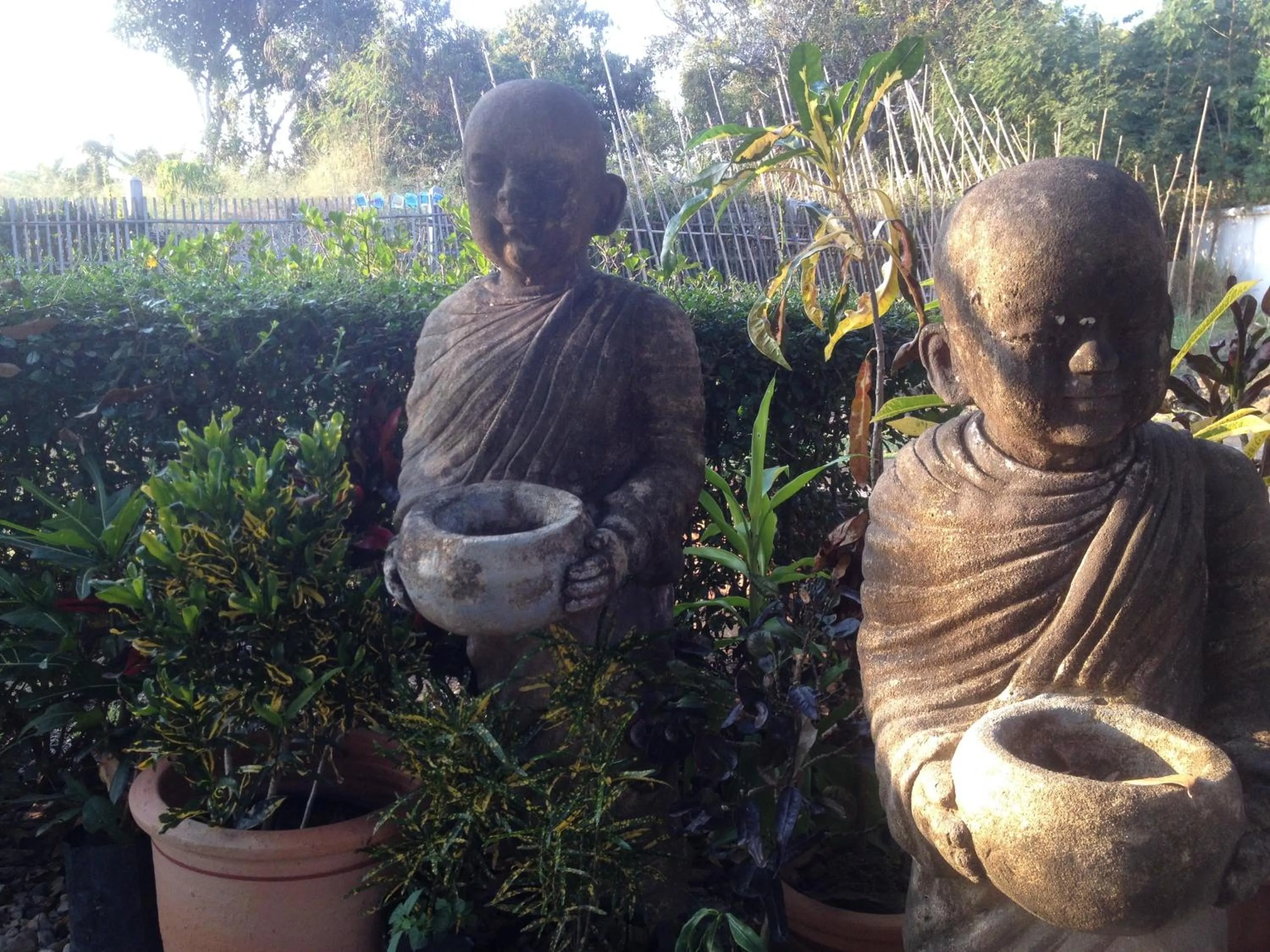 Garden in Rice Barn And Rooms