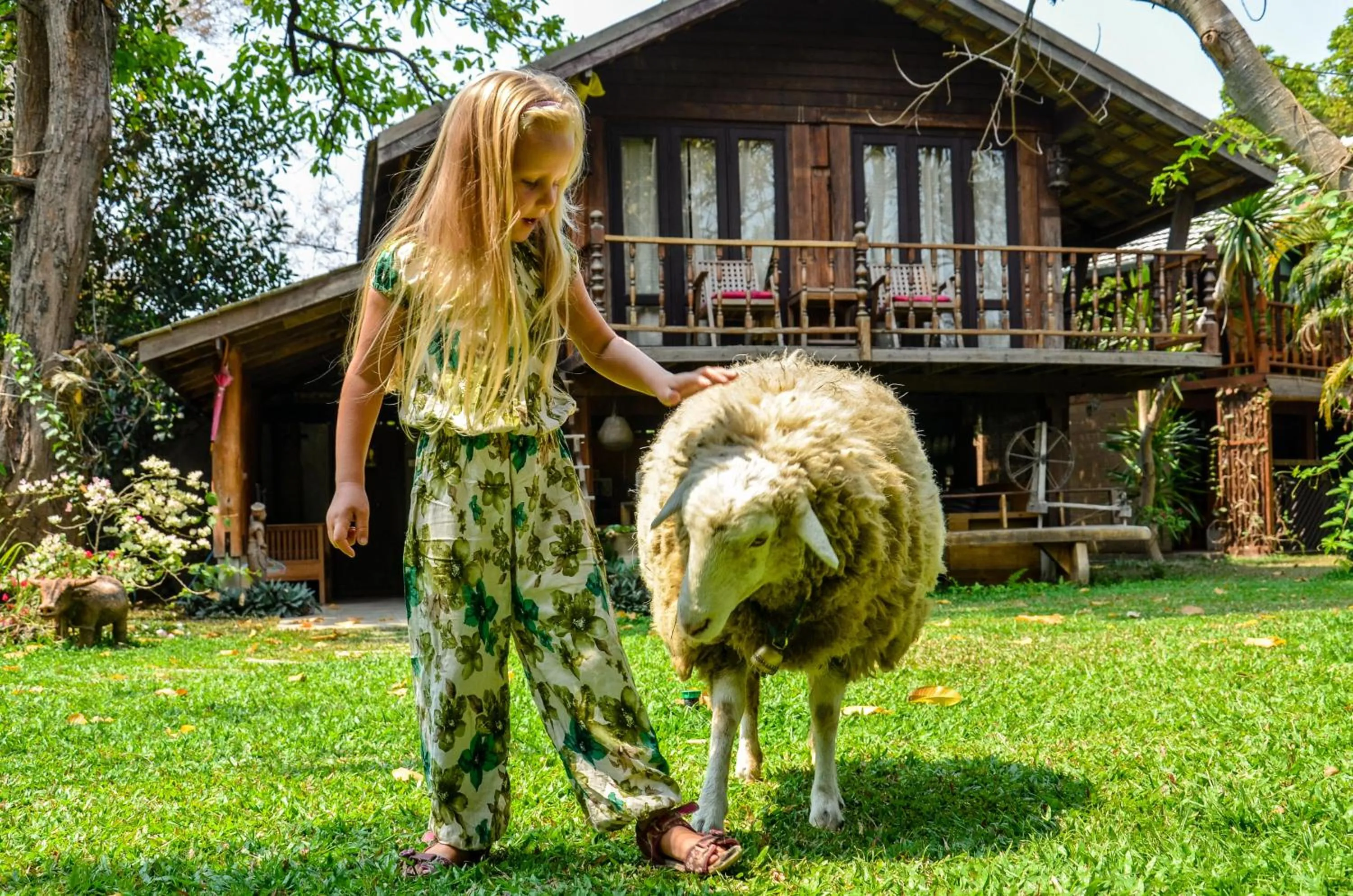 Pets in Rice Barn And Rooms