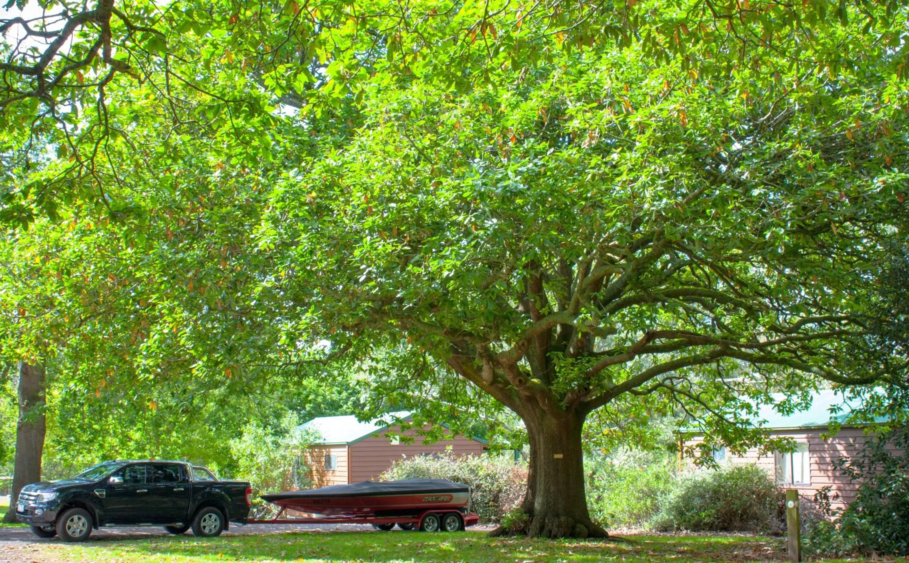 Garden in Lakes and Craters Holiday Park