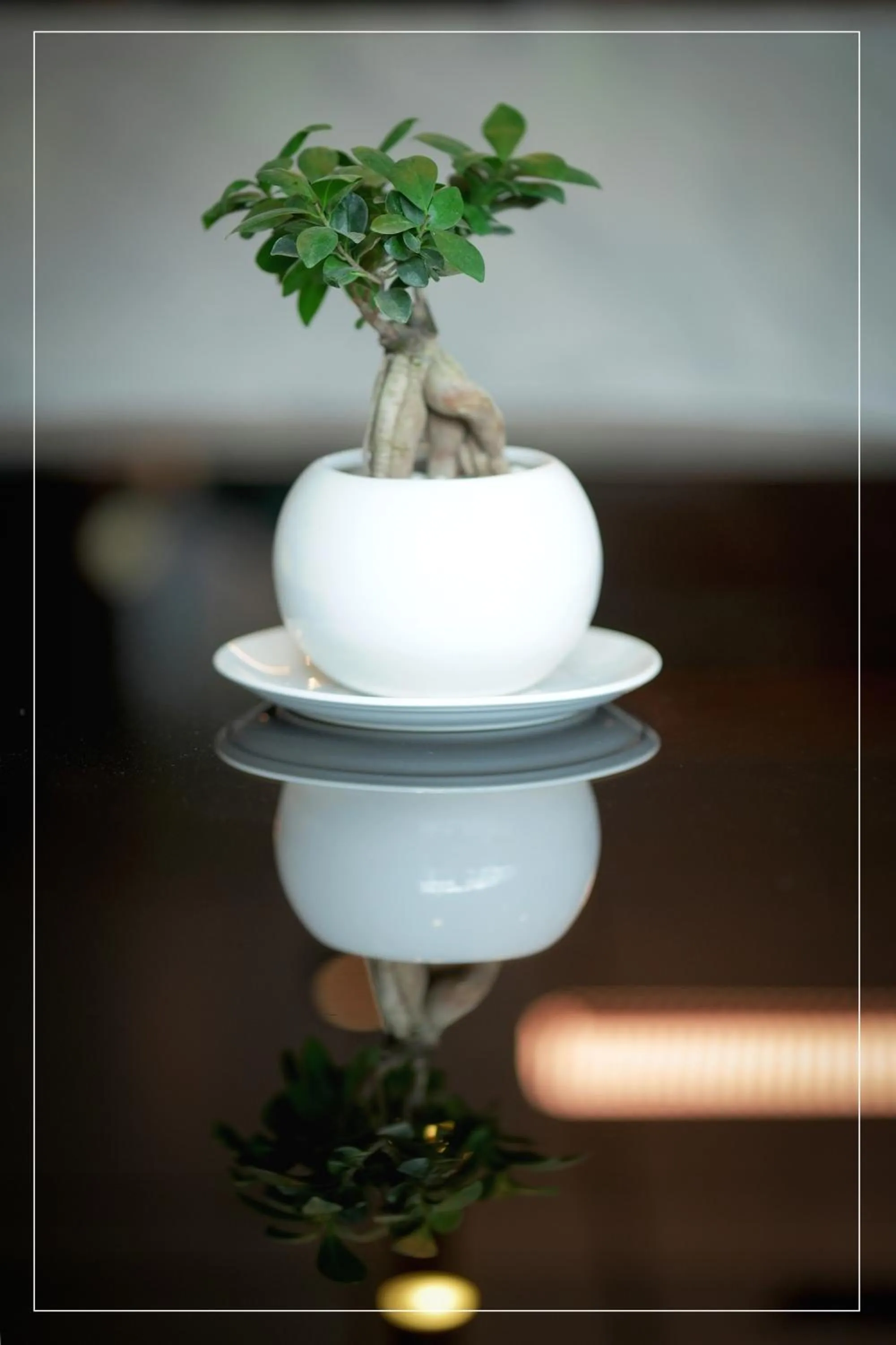 Decorative detail in Ramada Encore by Wyndham Siliguri Sevoke Road