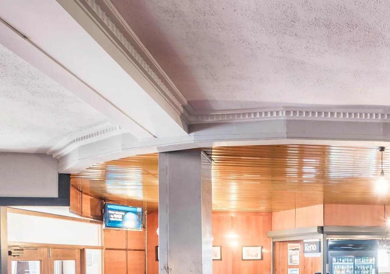 Lounge or bar in Happy Backpacker