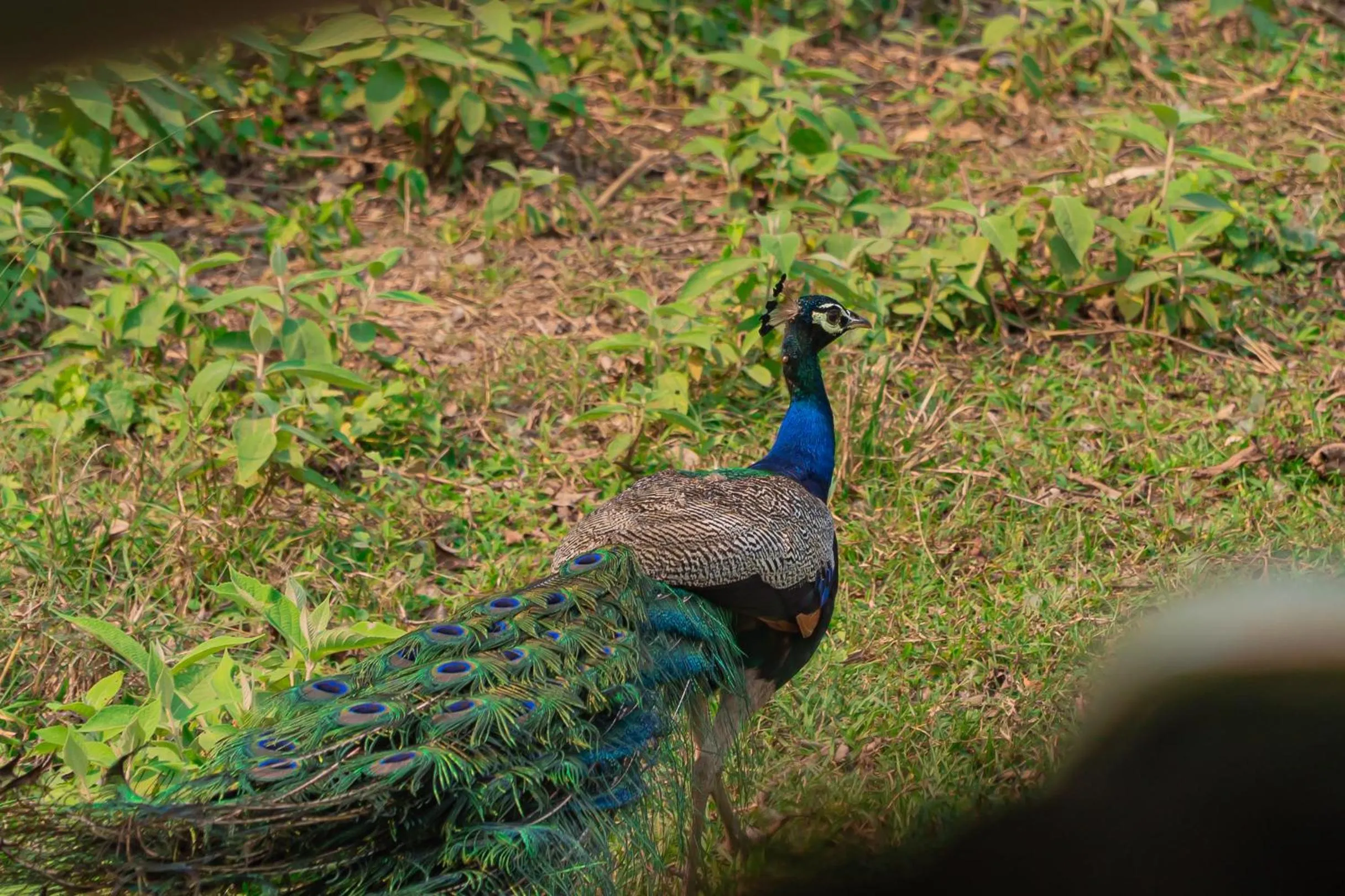 Day in Hotel Seven Limited