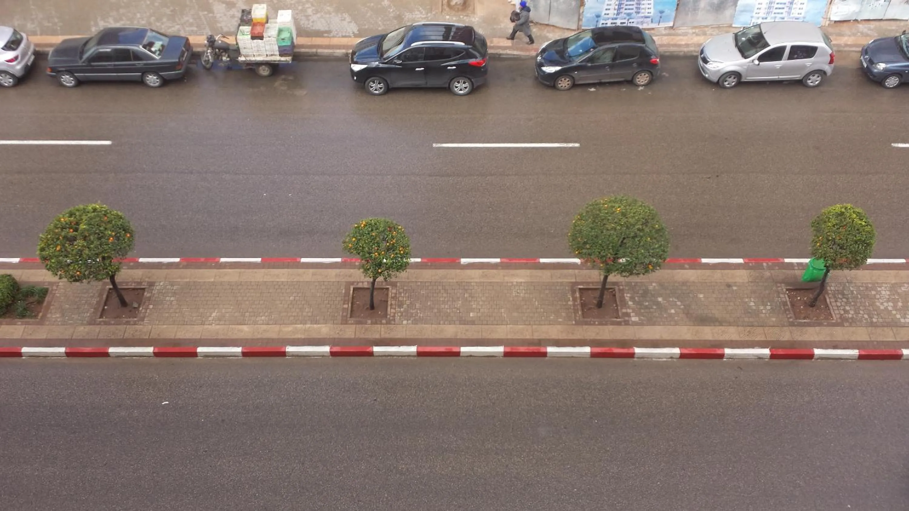 Area and facilities in Hotel Aswan