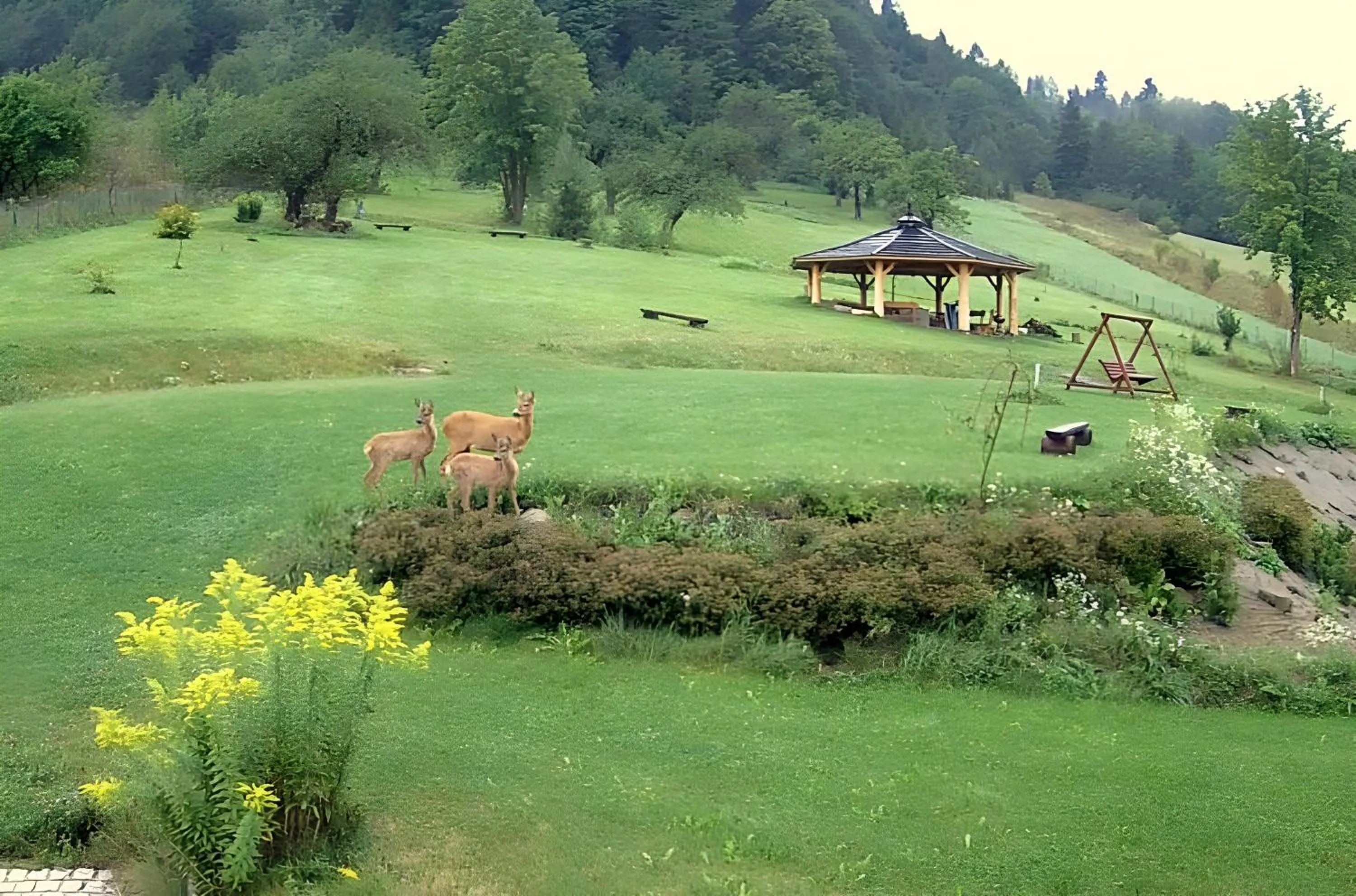 Garden in Otulina Park
