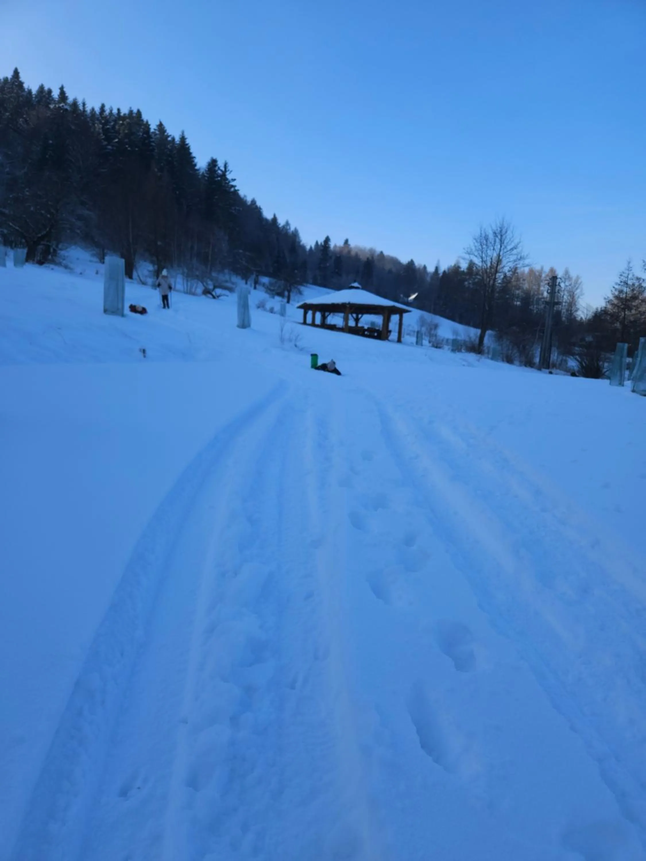 Garden in Otulina Park