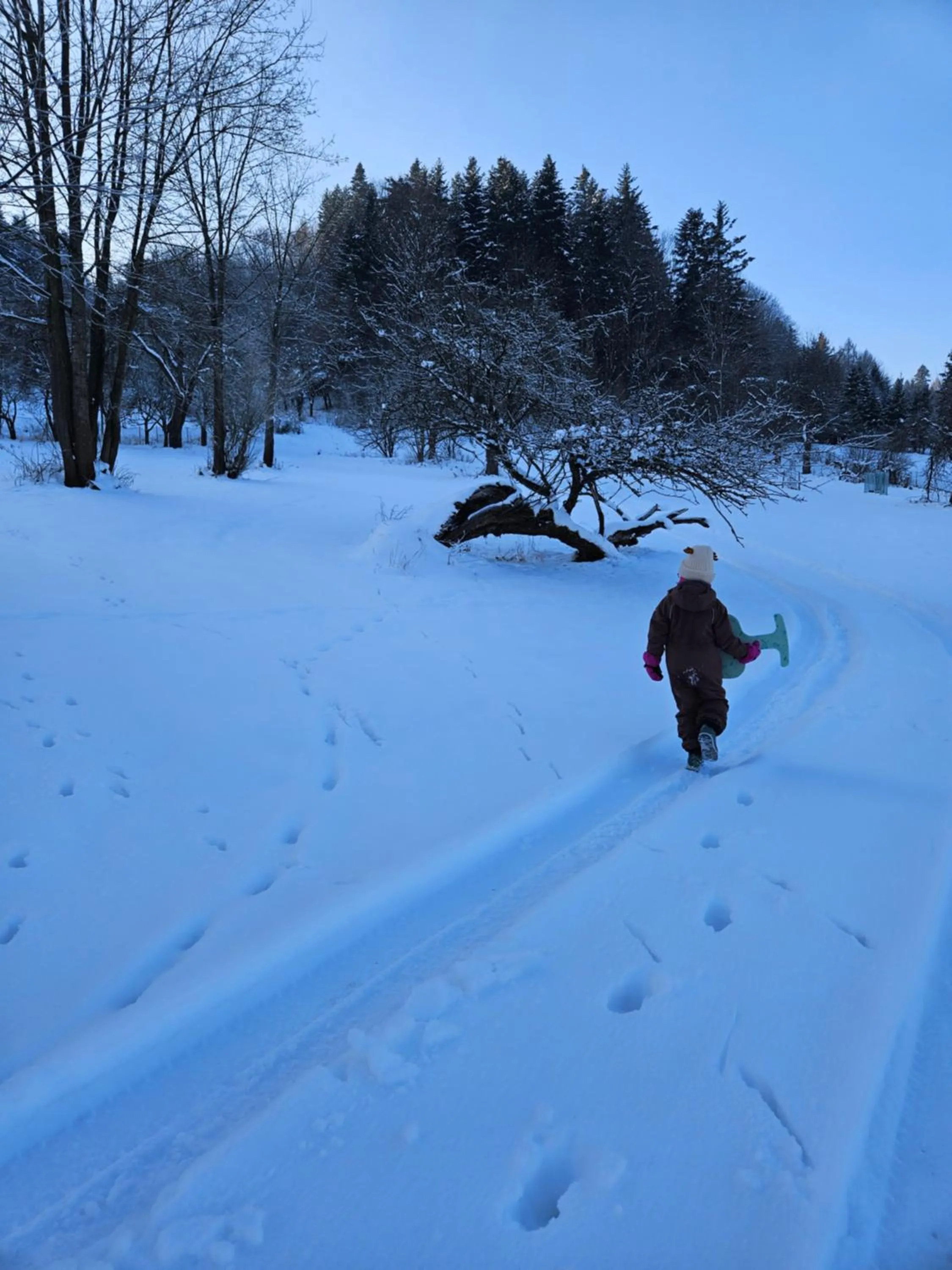 Garden in Otulina Park