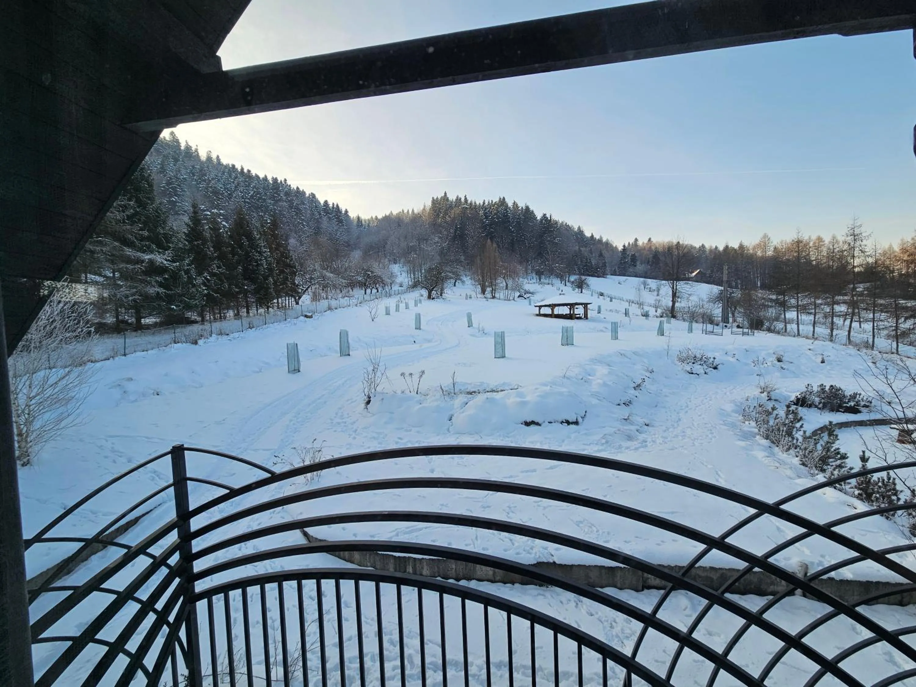 View (from property/room) in Otulina Park