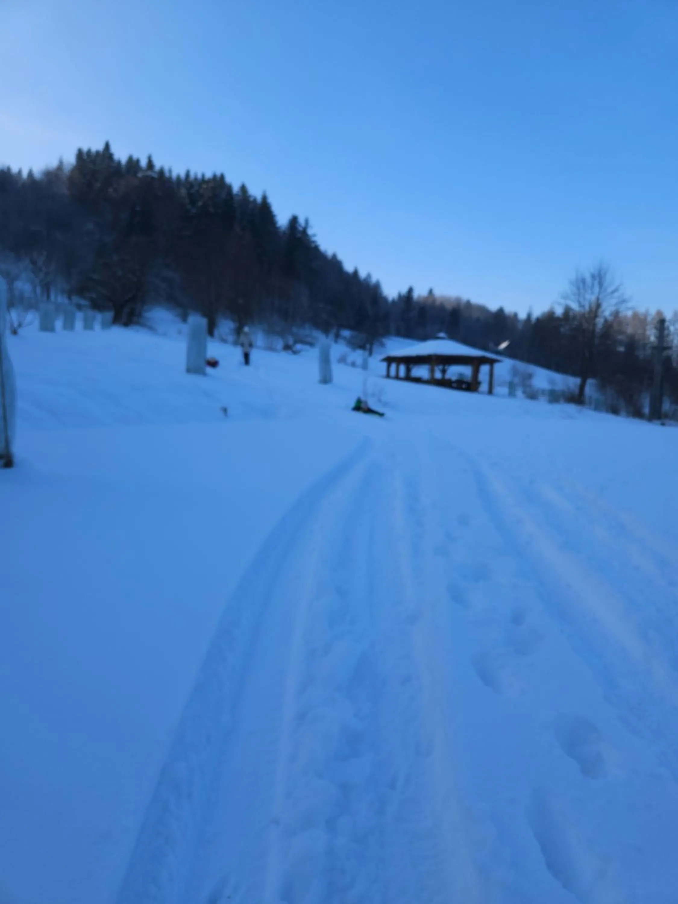 Garden in Otulina Park