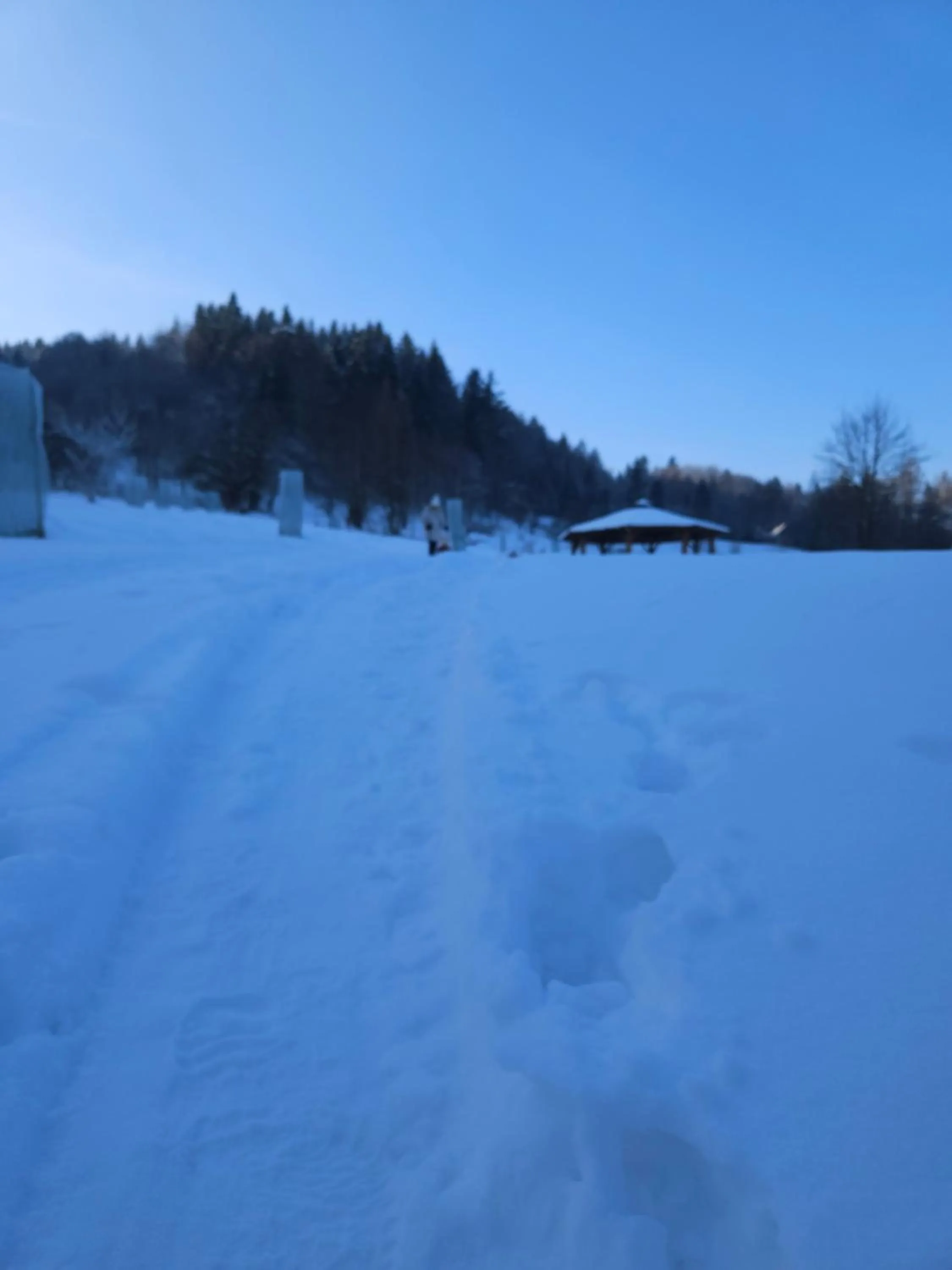 Garden in Otulina Park