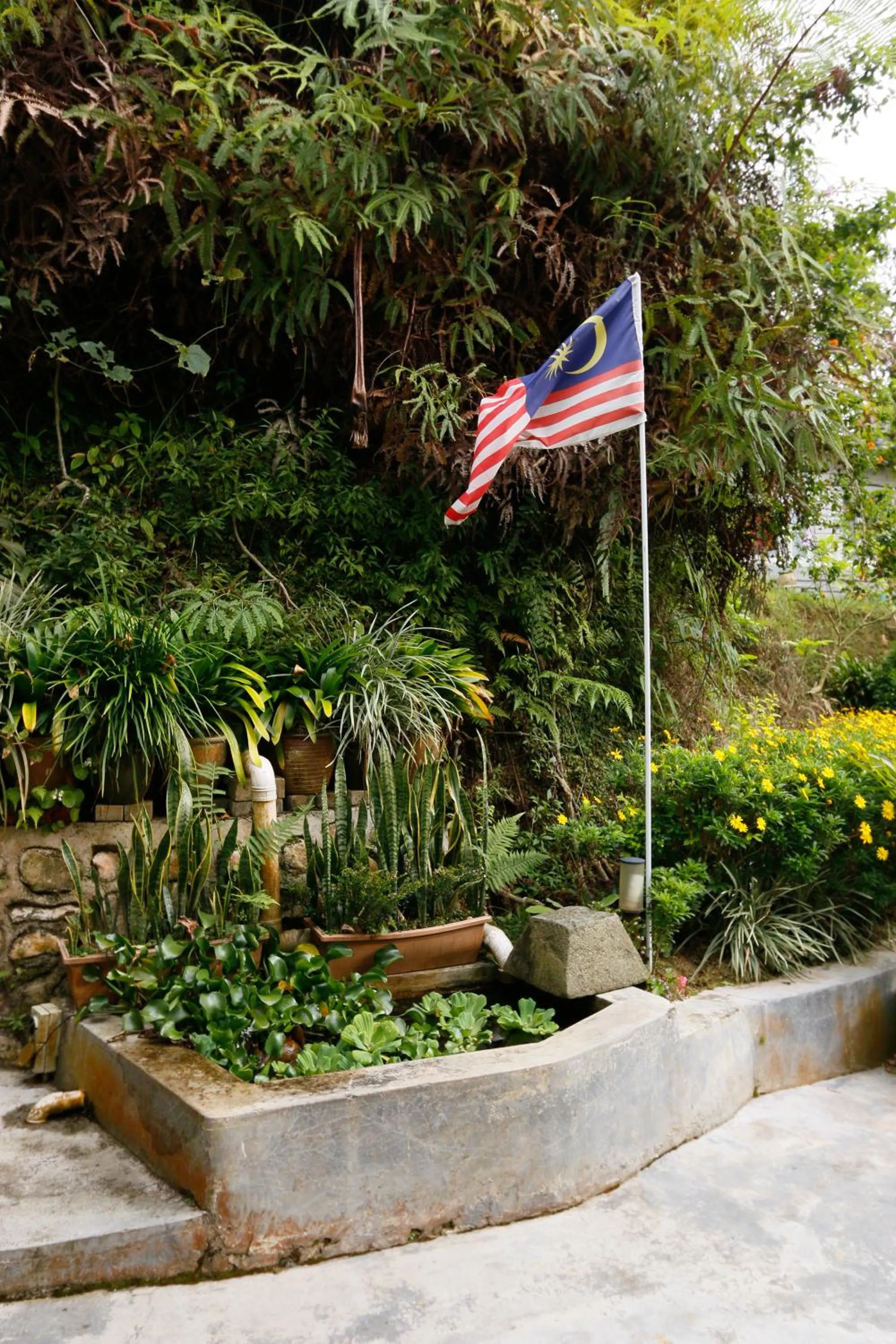 Area and facilities in Golden Lodge