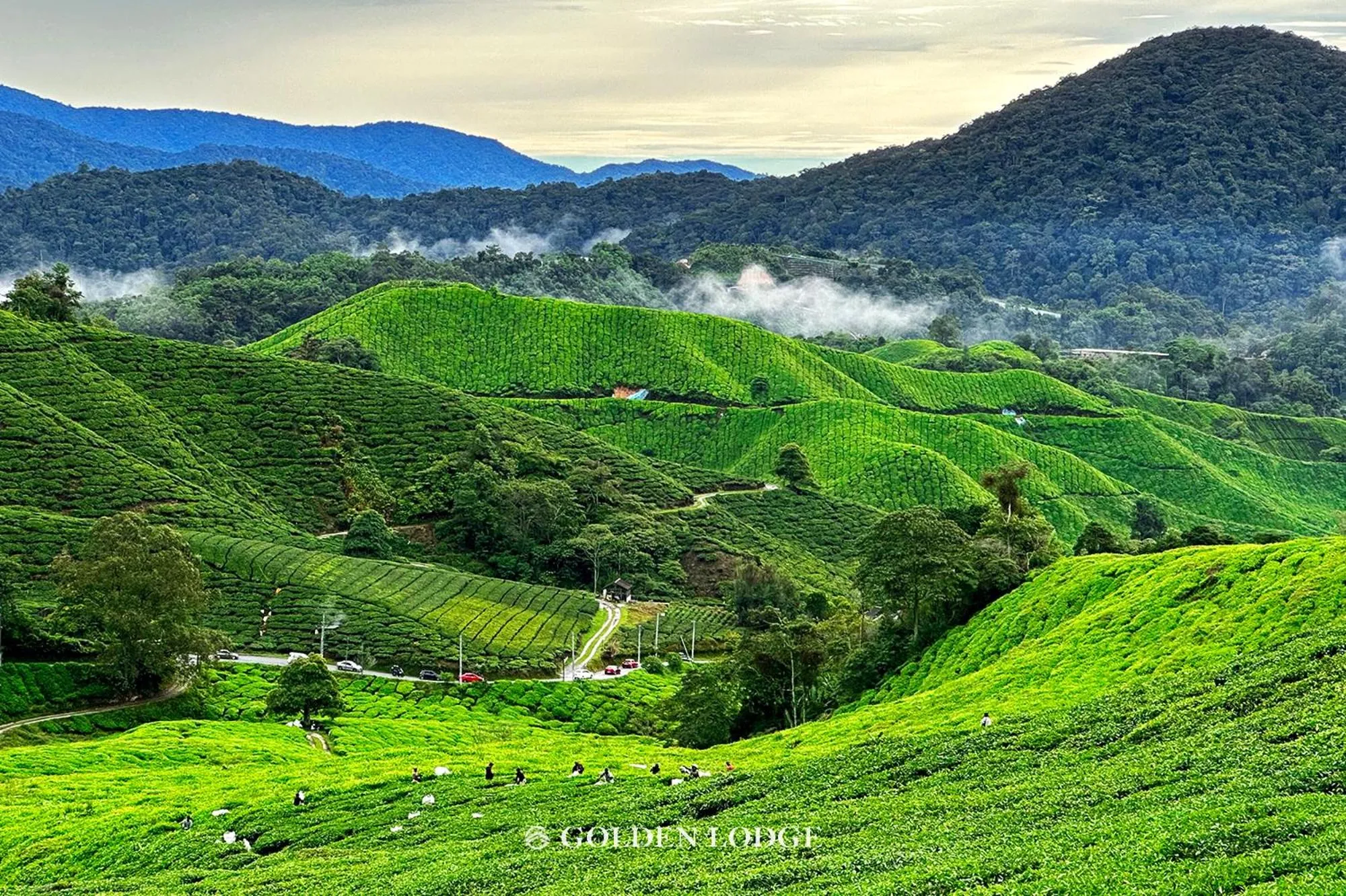 Nearby landmark in Golden Lodge
