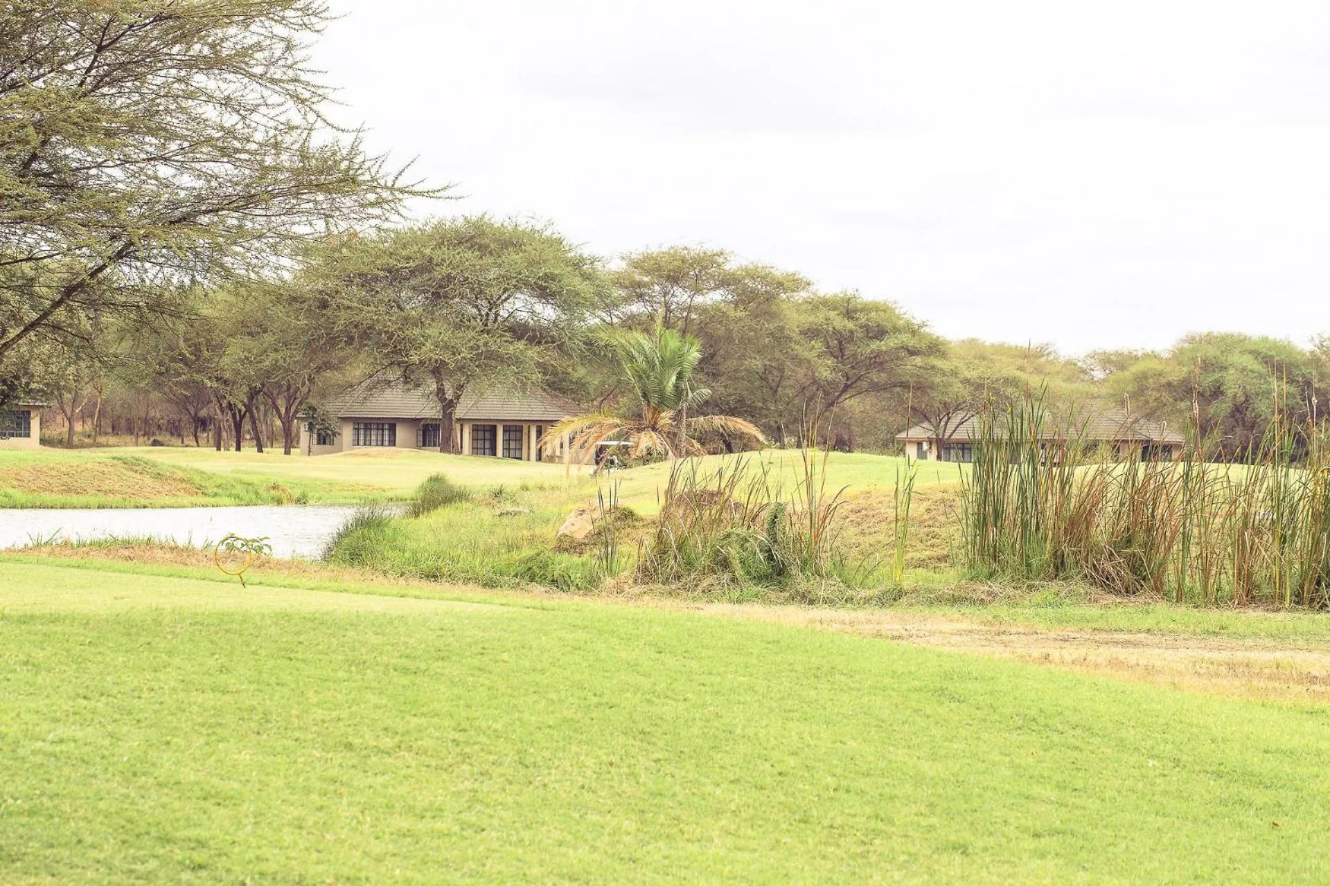 Natural landscape in Kili Seasons Hotel