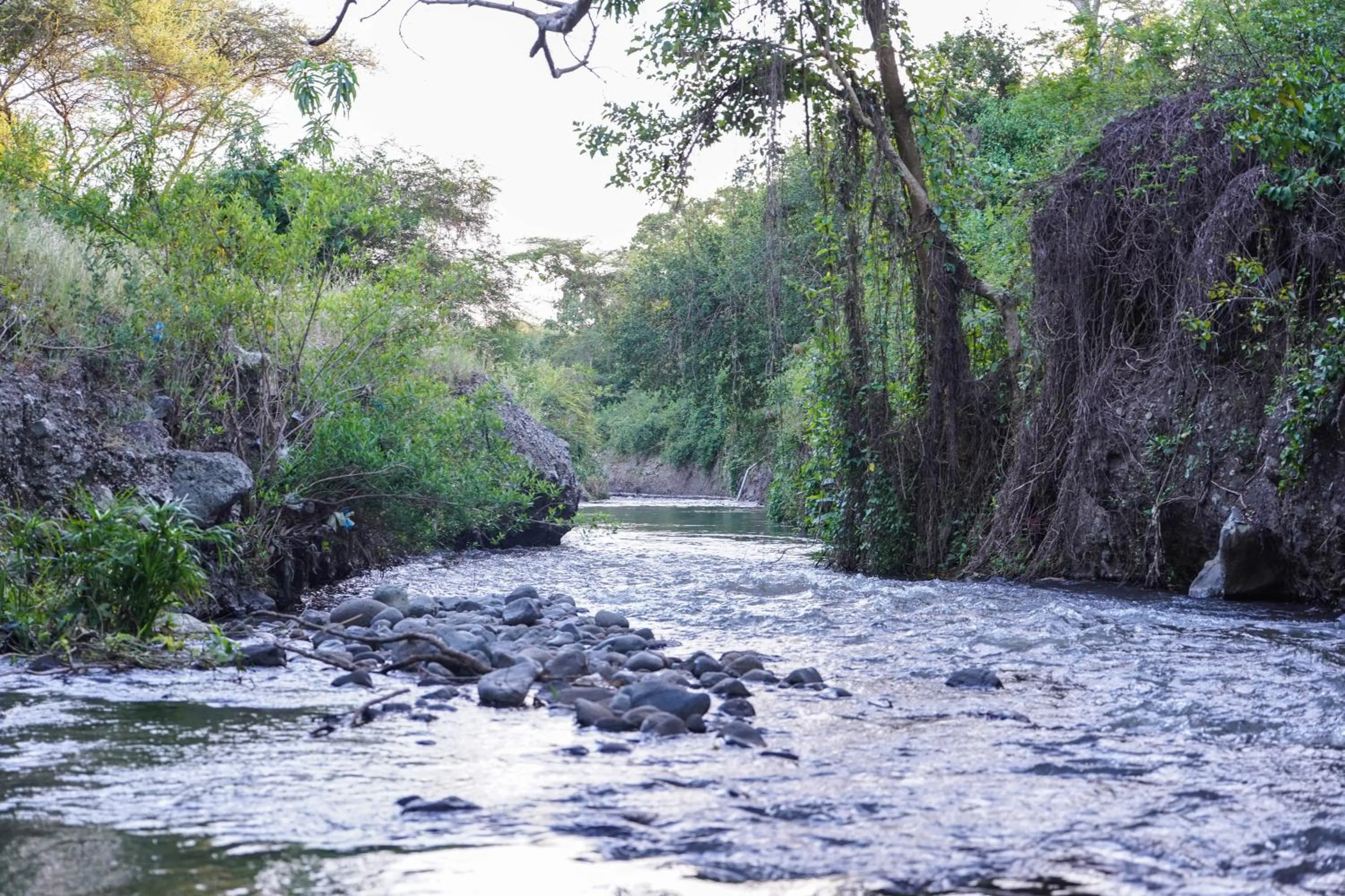 Natural landscape in Kili Seasons Hotel