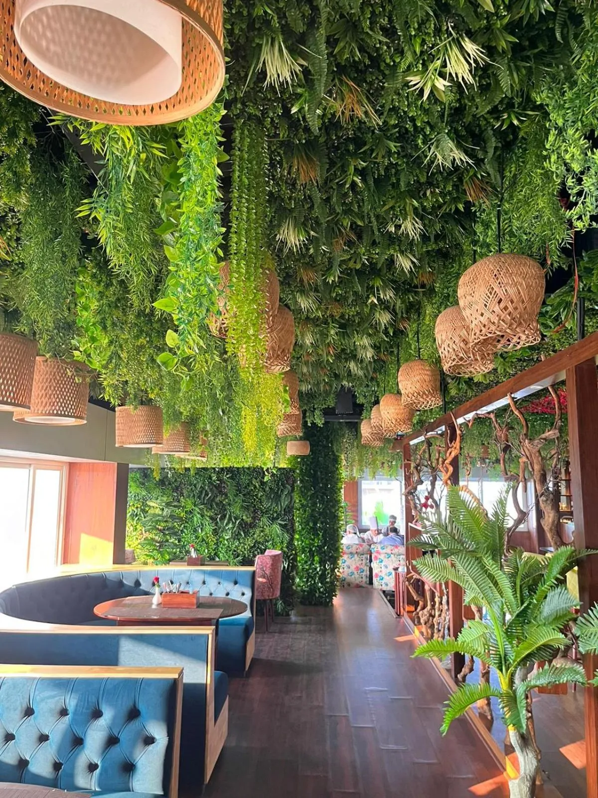 Garden in Hotel EDEN