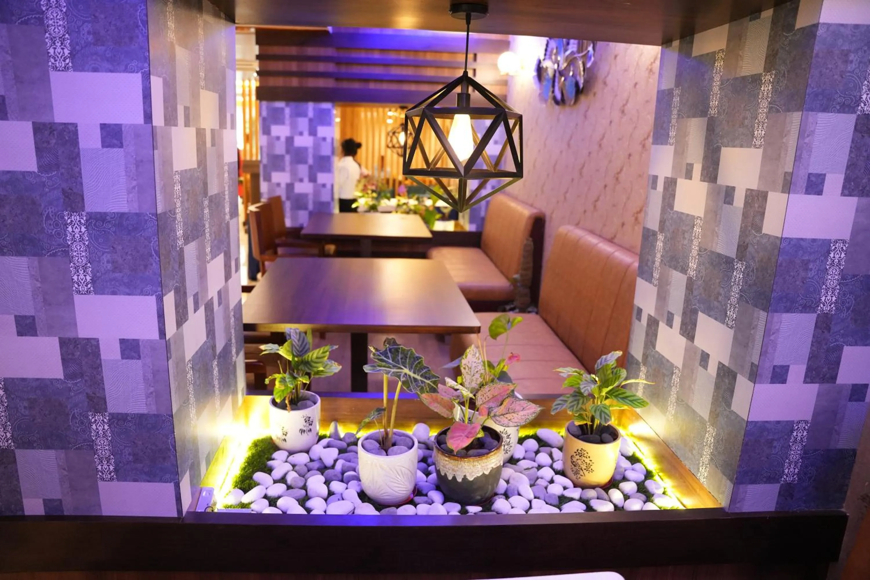 Restaurant/places to eat in Hotel EDEN