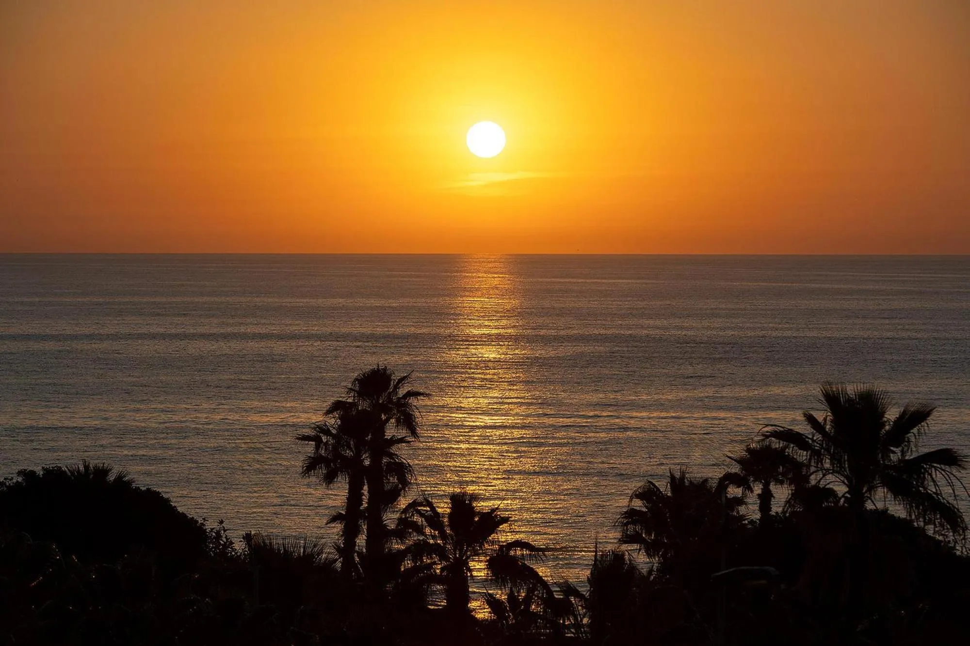 Natural landscape in Hotel Playas de Torrevieja