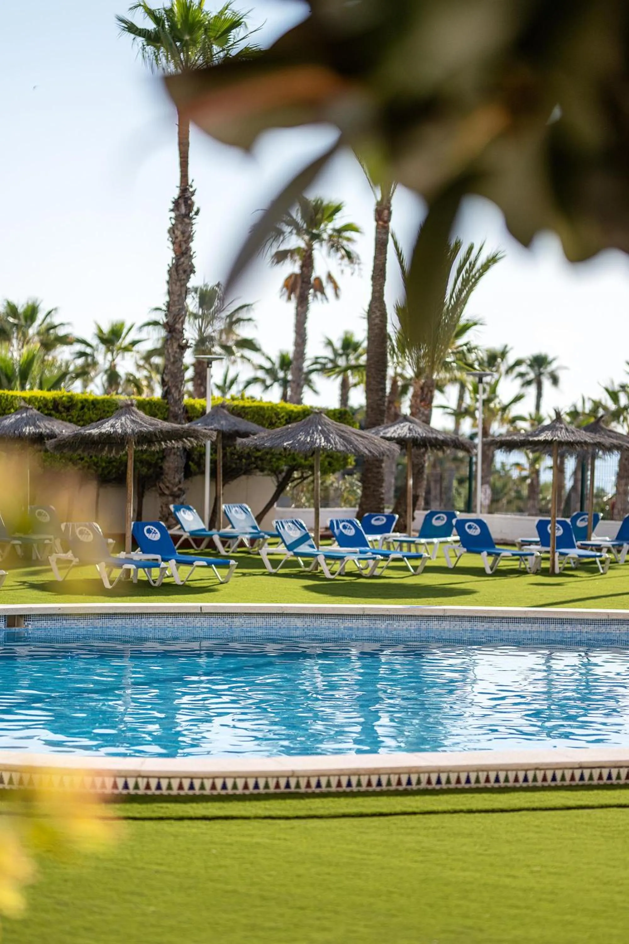 Swimming pool in Hotel Playas de Torrevieja